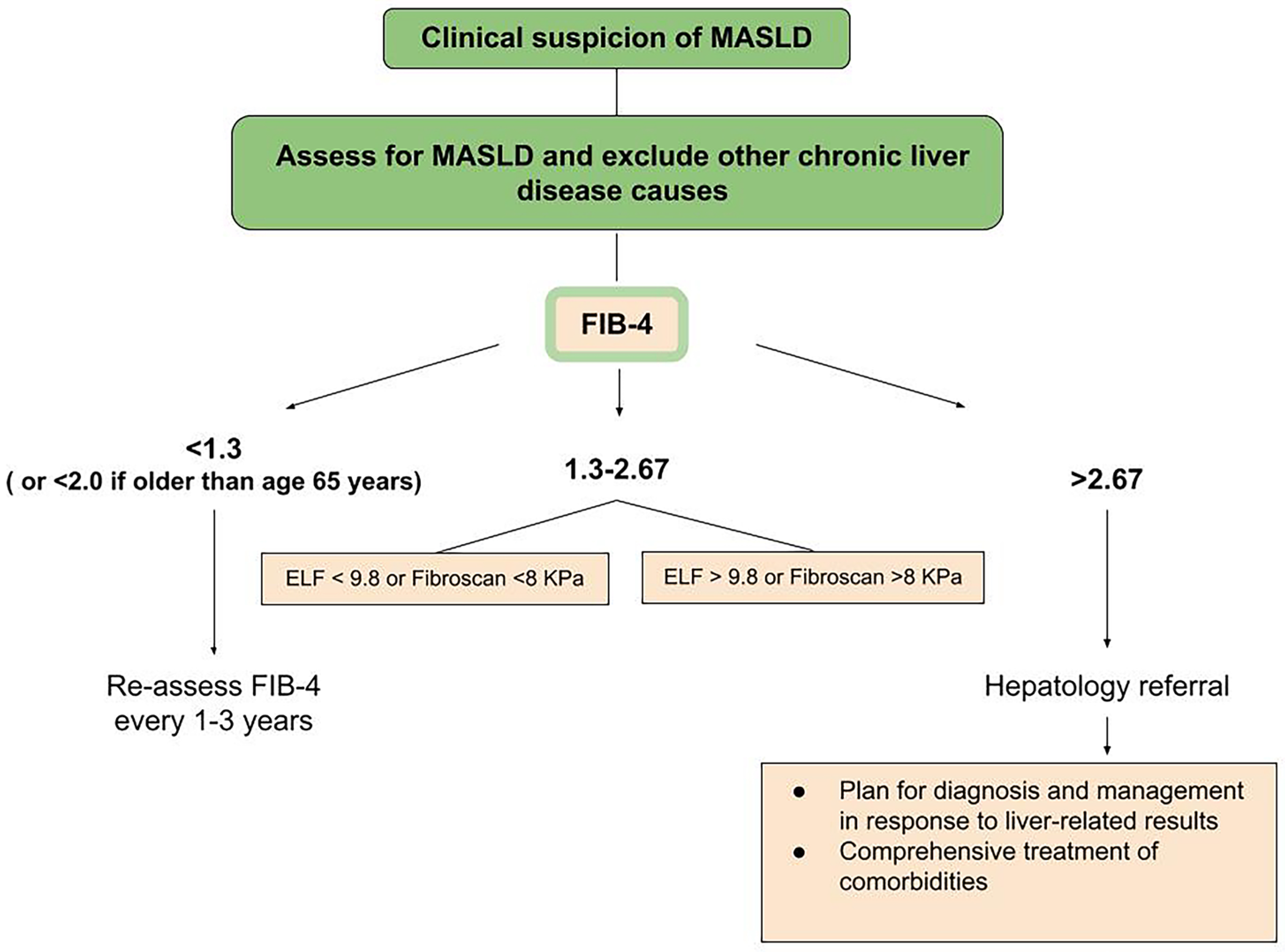 Medicina 61 00736 g002