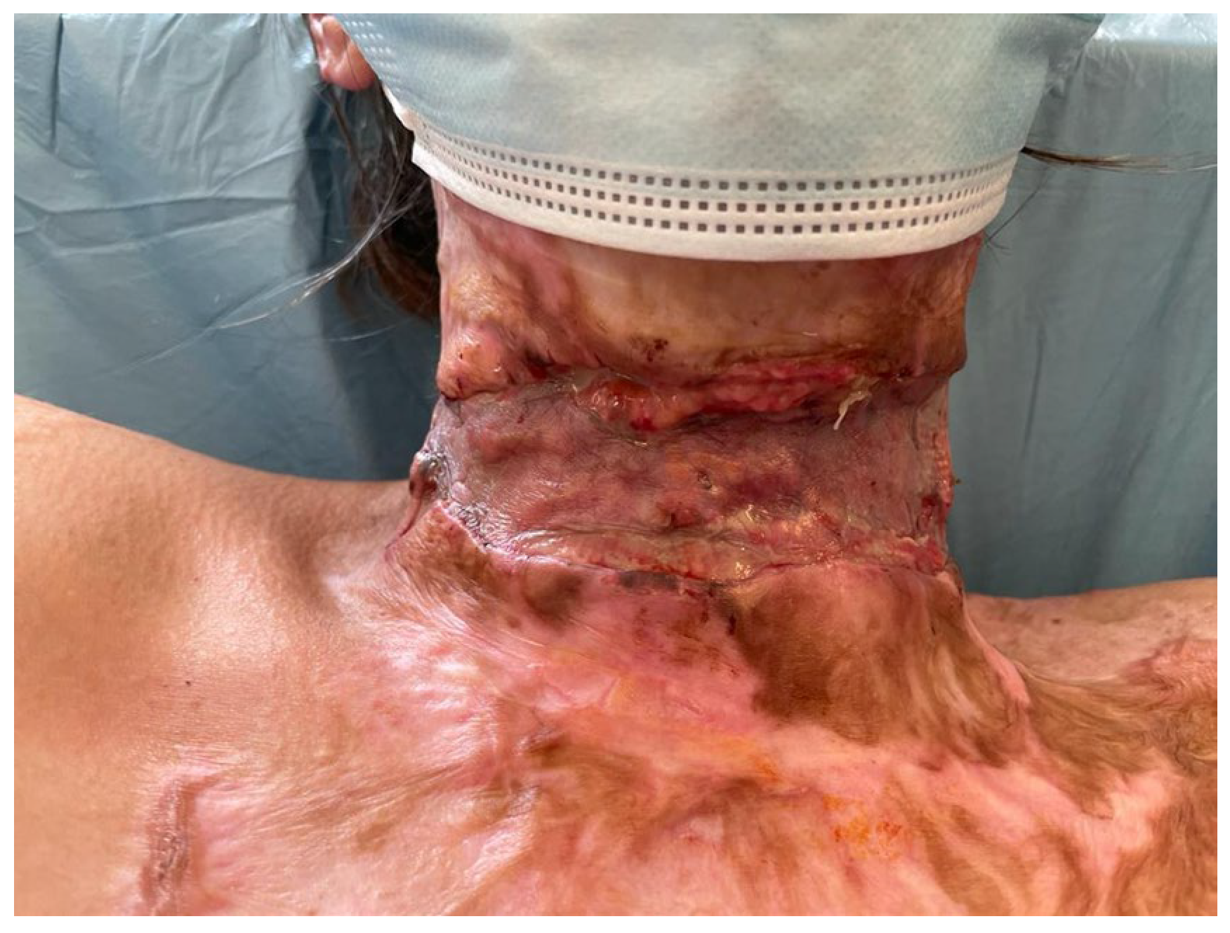 Medicina 61 00744 g008