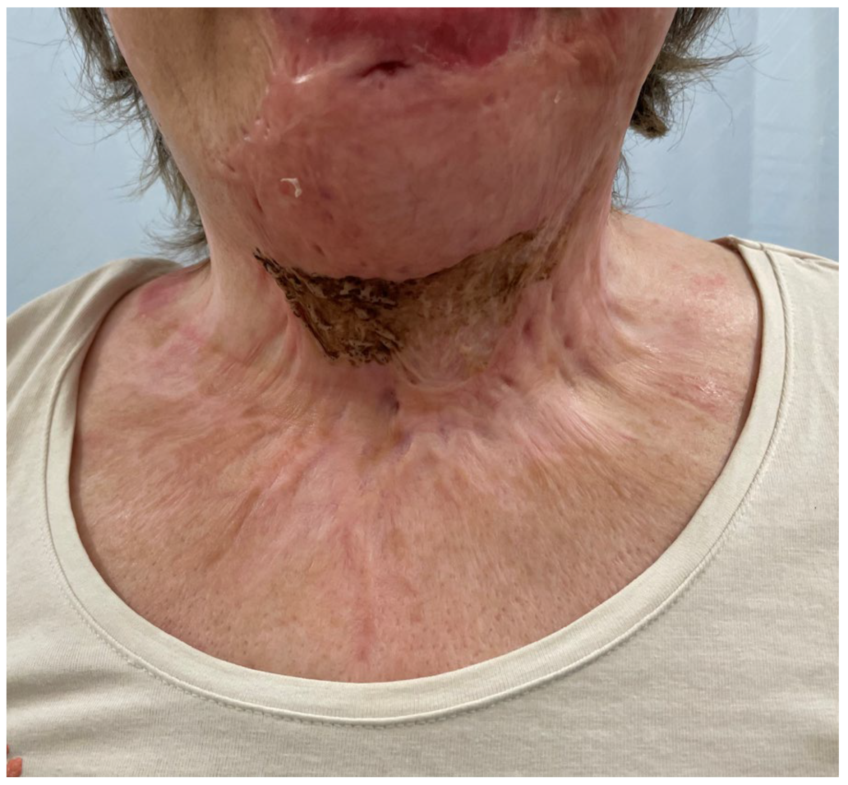 Medicina 61 00744 g010