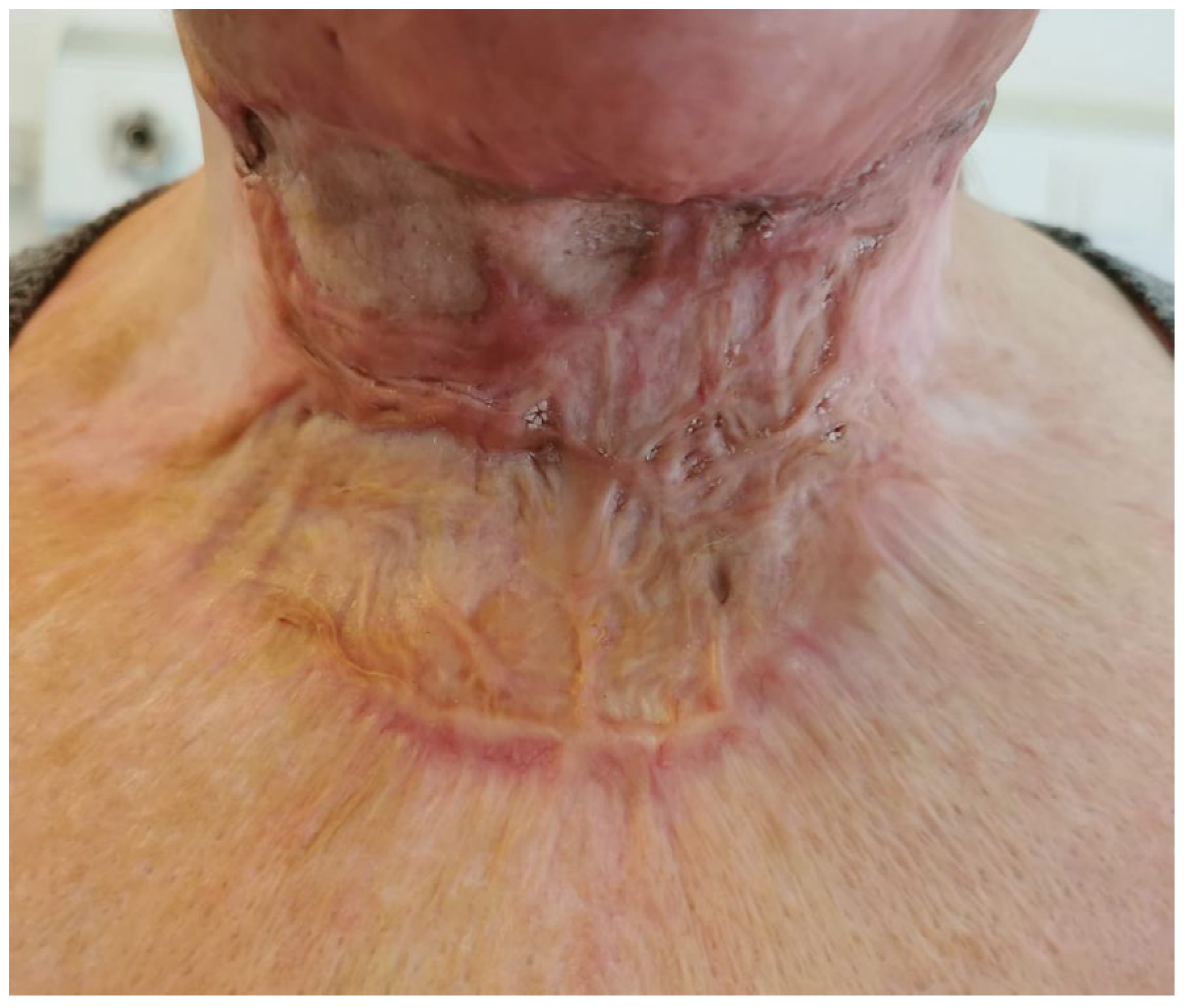 Medicina 61 00744 g013