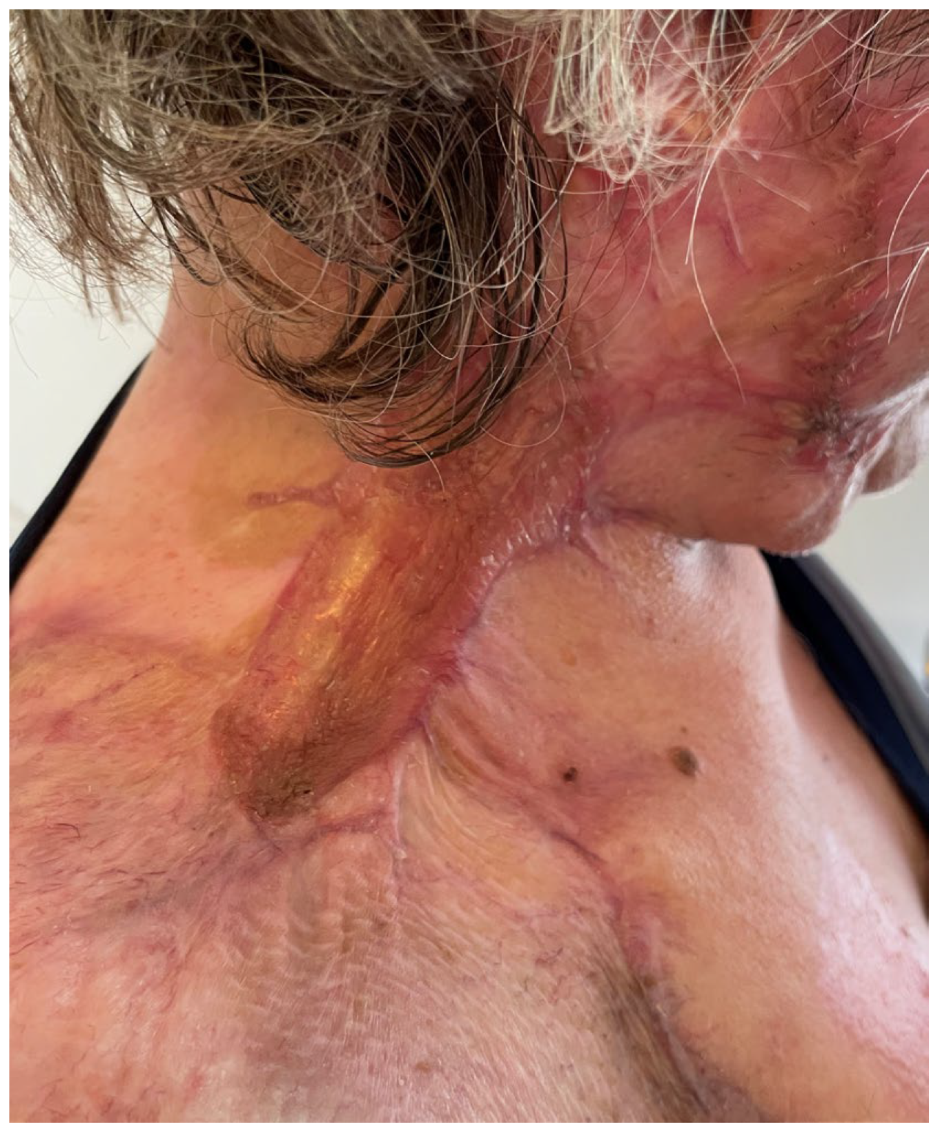 Medicina 61 00744 g015