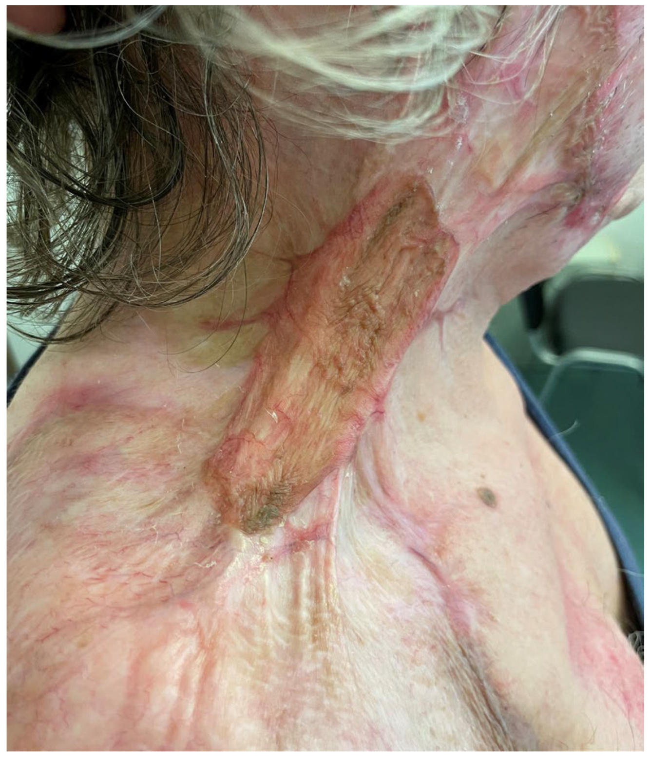 Medicina 61 00744 g016