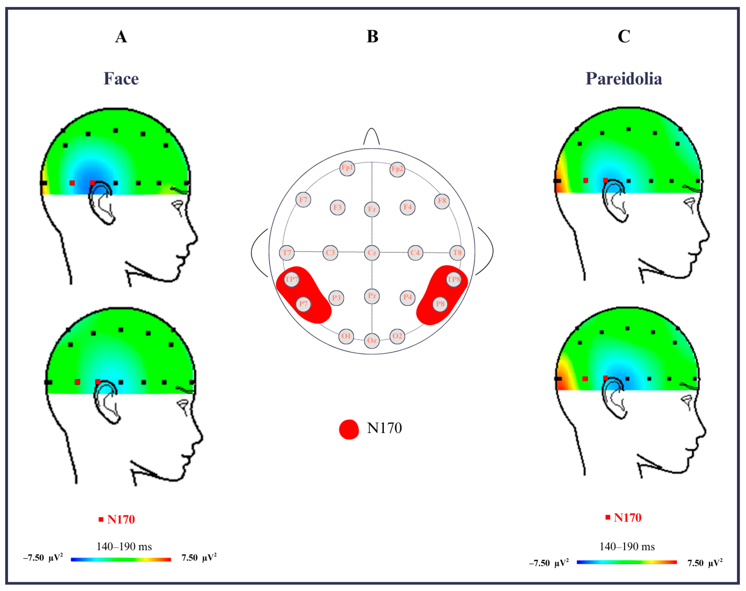 Medicina 61 00754 g002