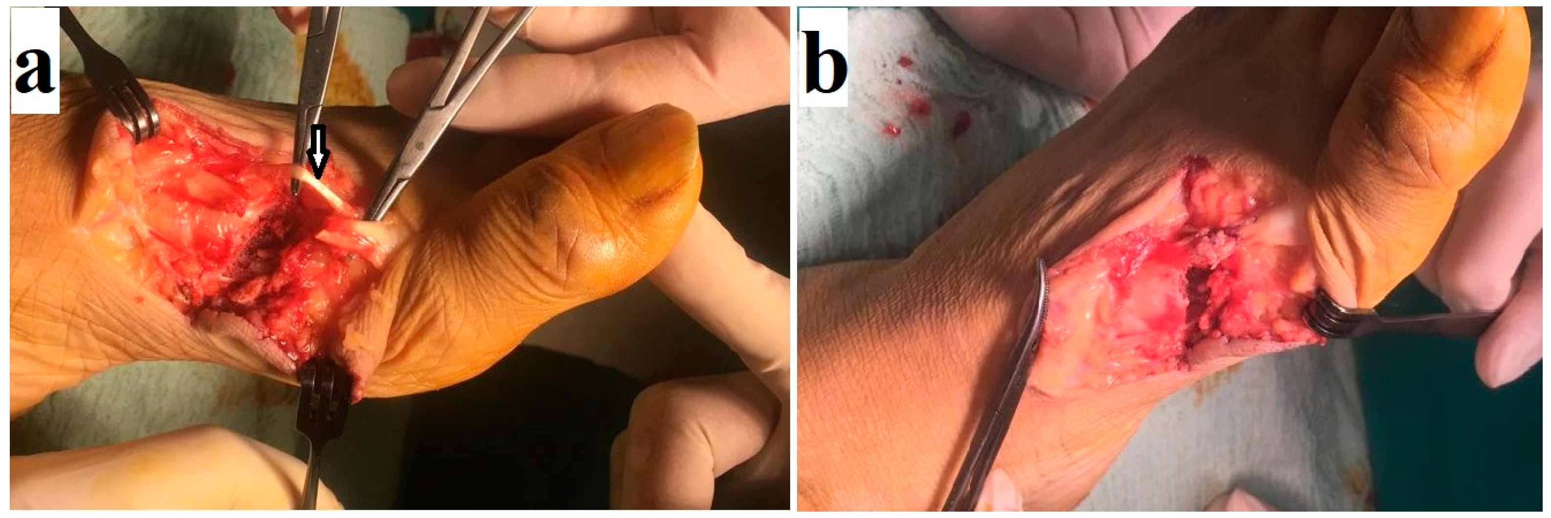 Medicina 61 00759 g001