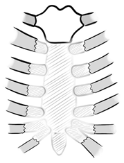 Medicina 61 00763 i002