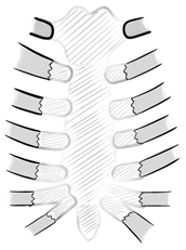 Medicina 61 00763 i003