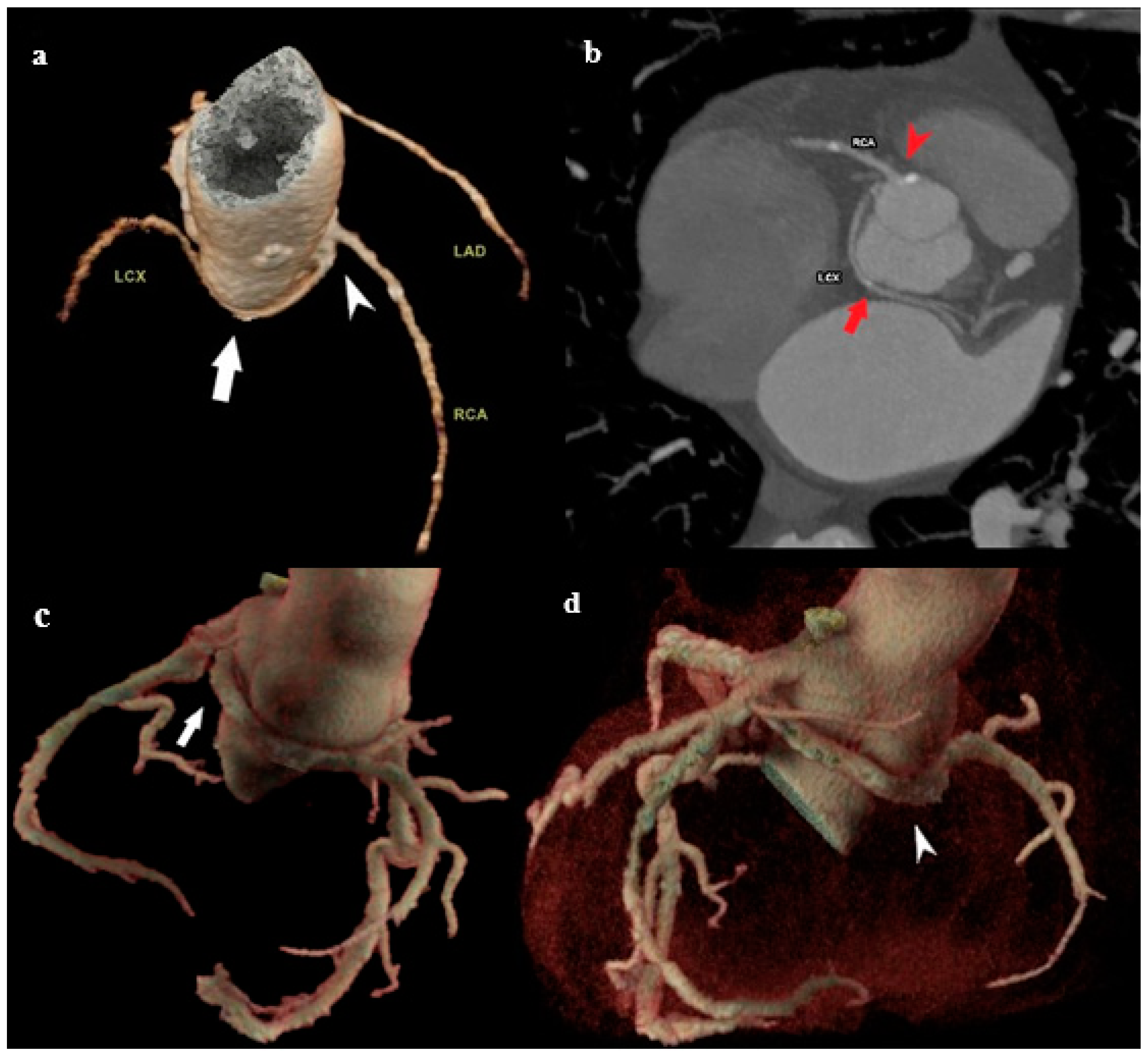 Medicina 61 00765 g002