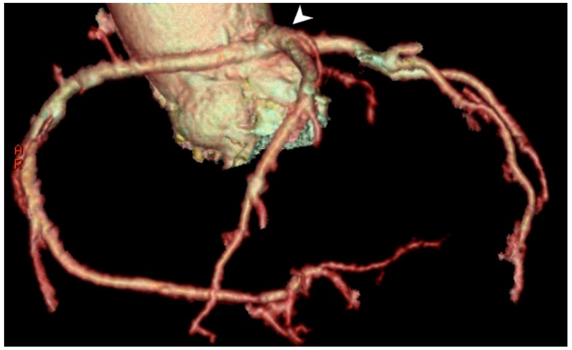 Medicina 61 00765 g005