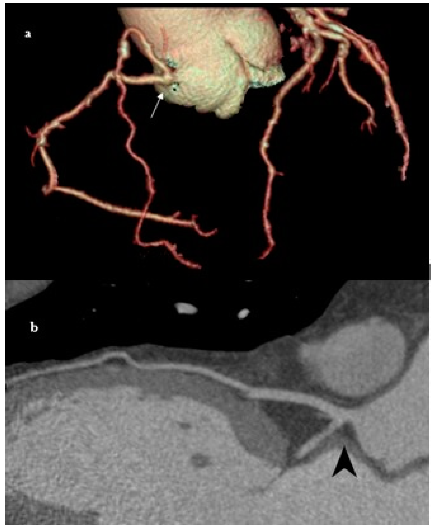 Medicina 61 00765 g007