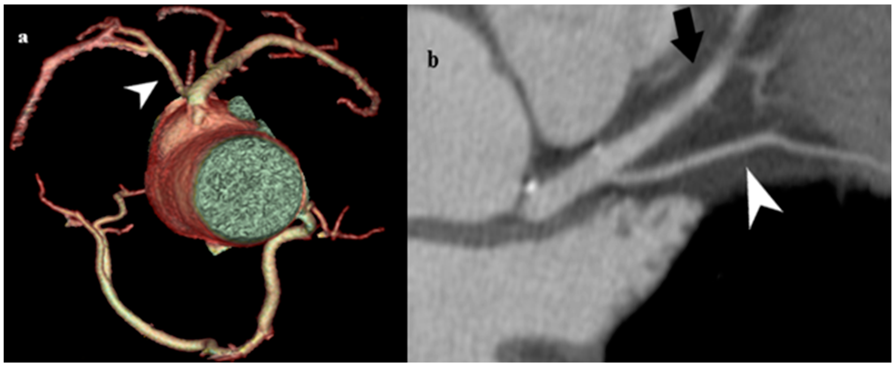 Medicina 61 00765 g008