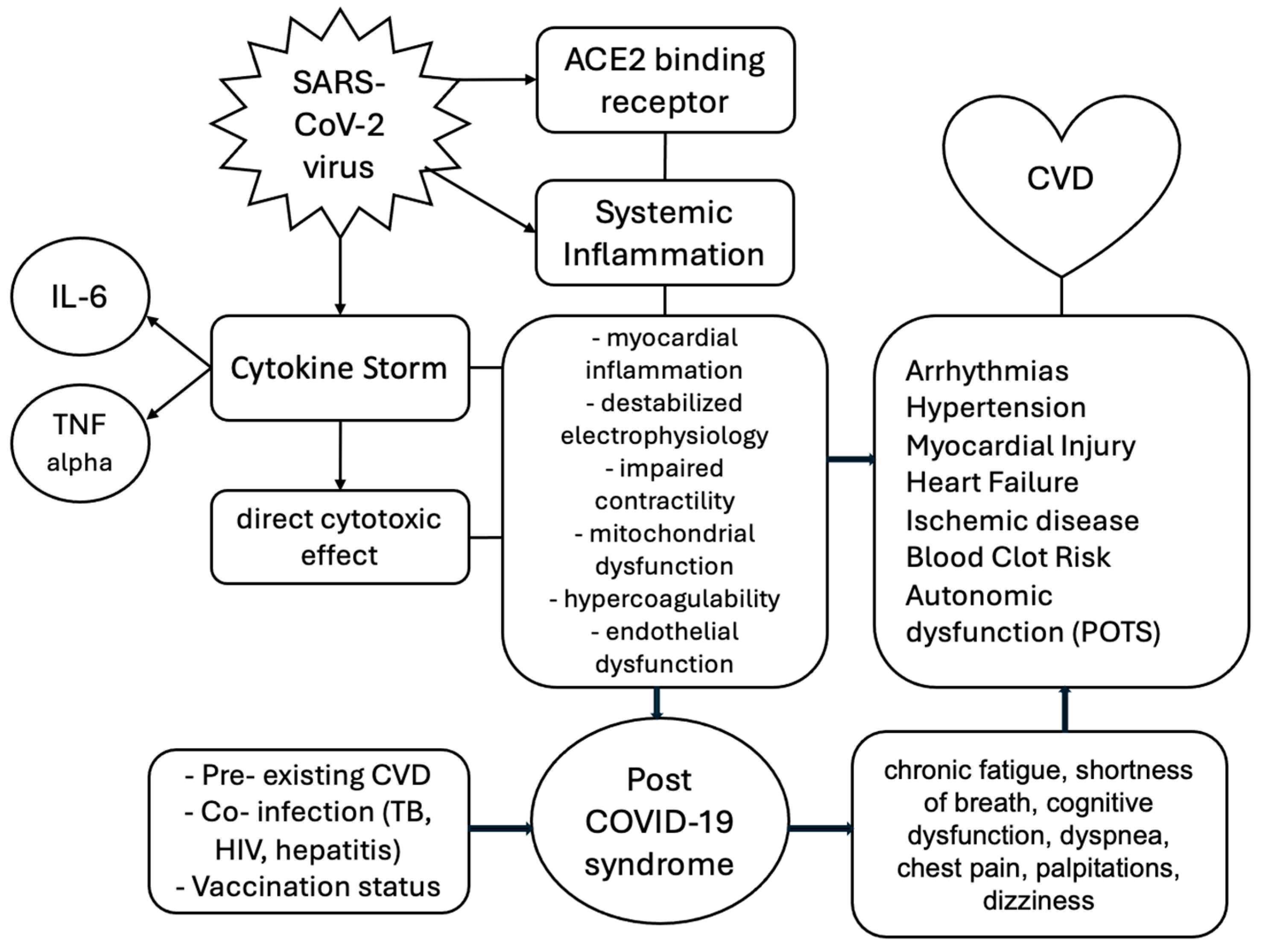 Medicina 61 00773 g004