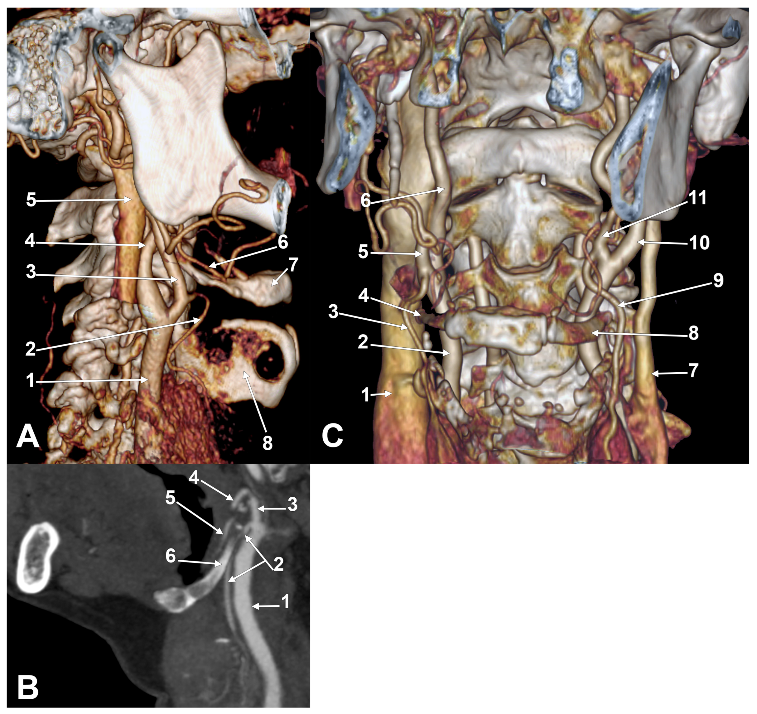 Medicina 61 00775 g002