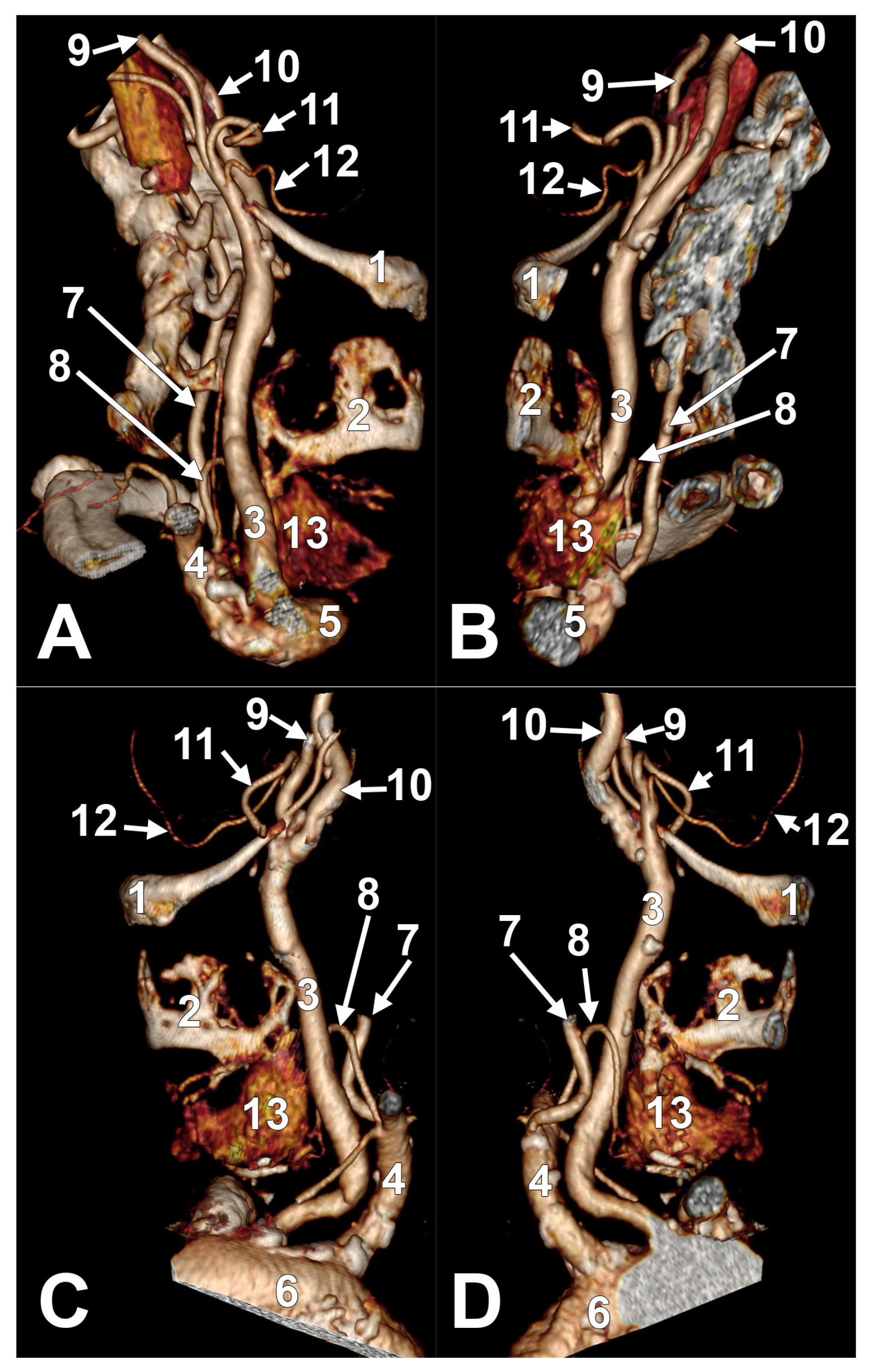 Medicina 61 00775 g004