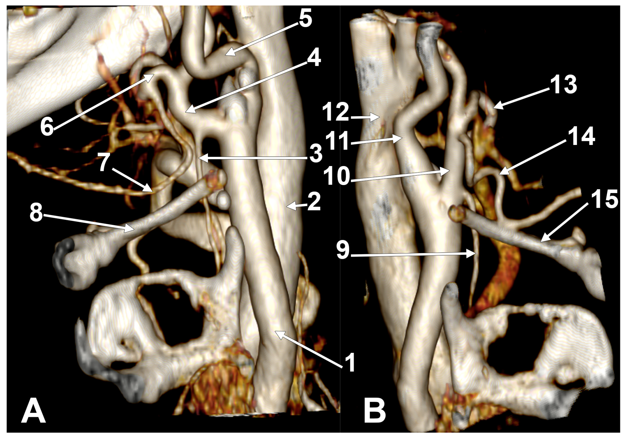 Medicina 61 00775 g0a2