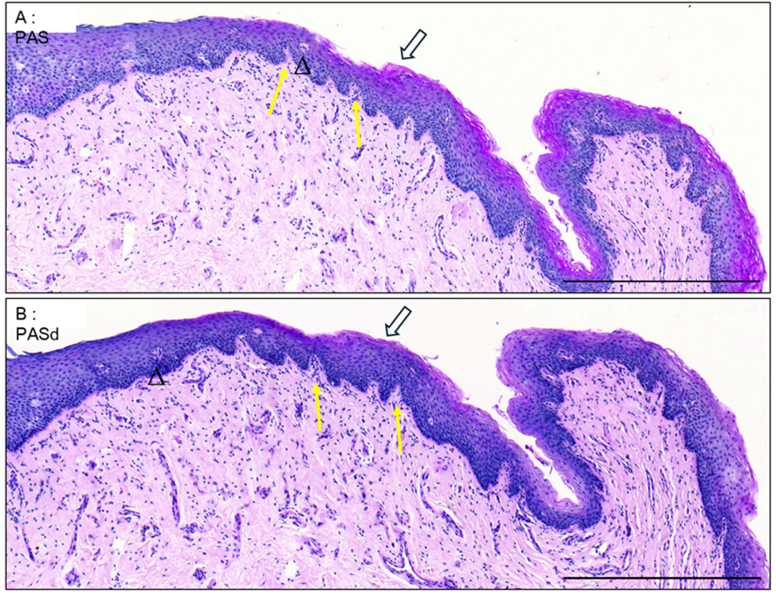 Medicina 61 00788 g003