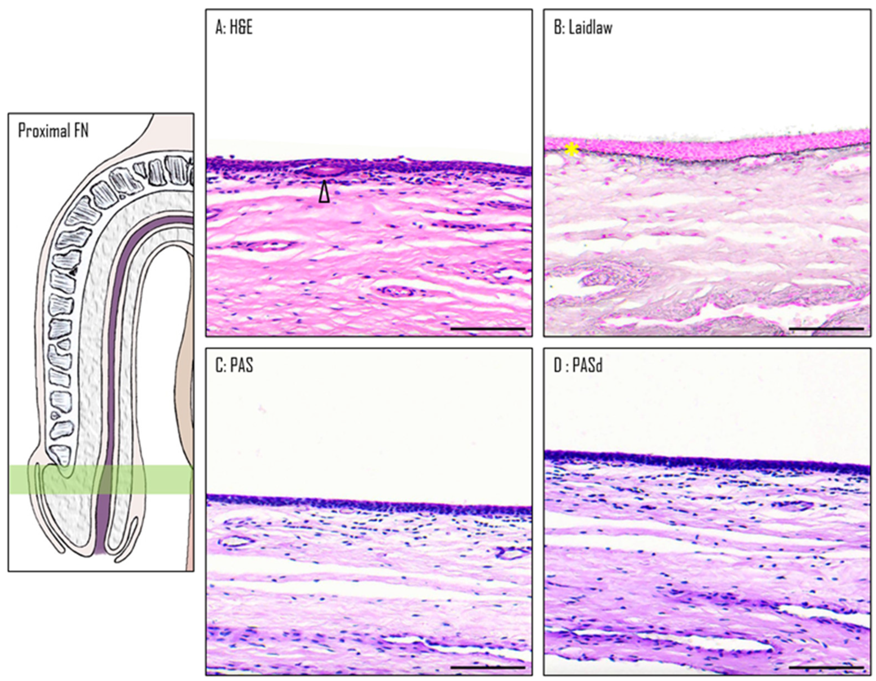 Medicina 61 00788 g005