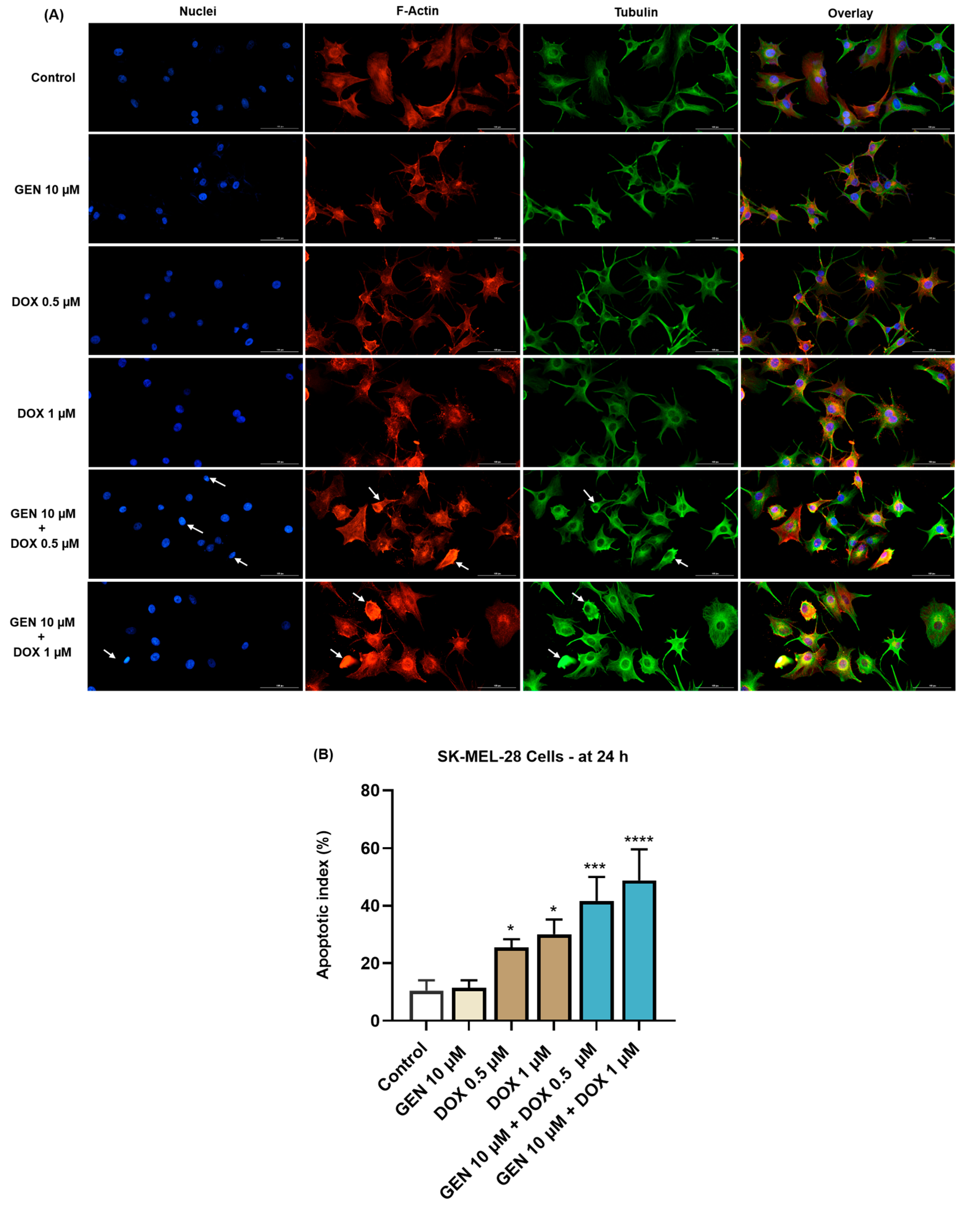 Medicina 61 00798 g005