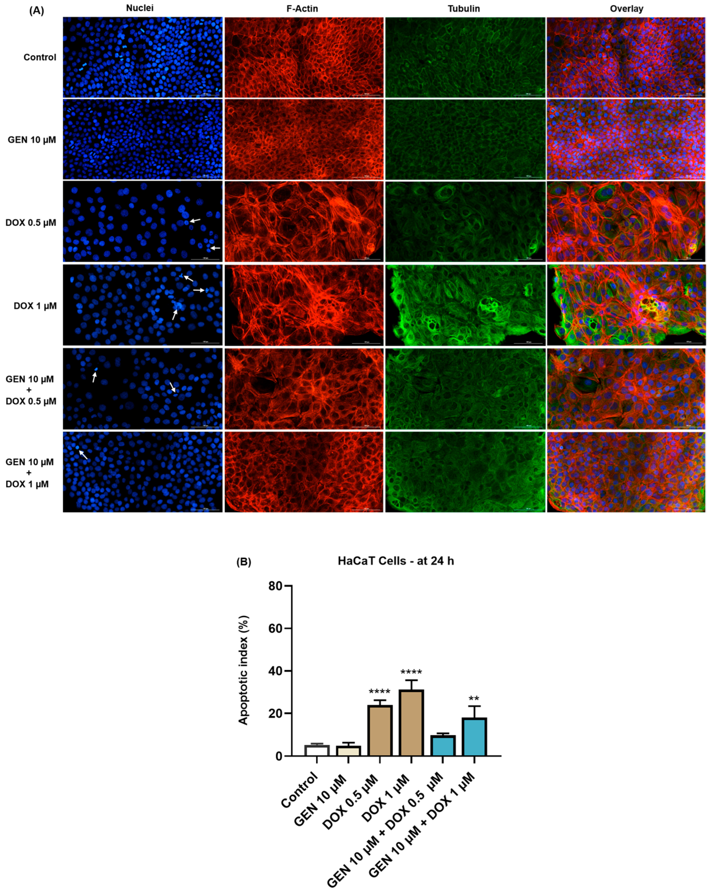 Medicina 61 00798 g006