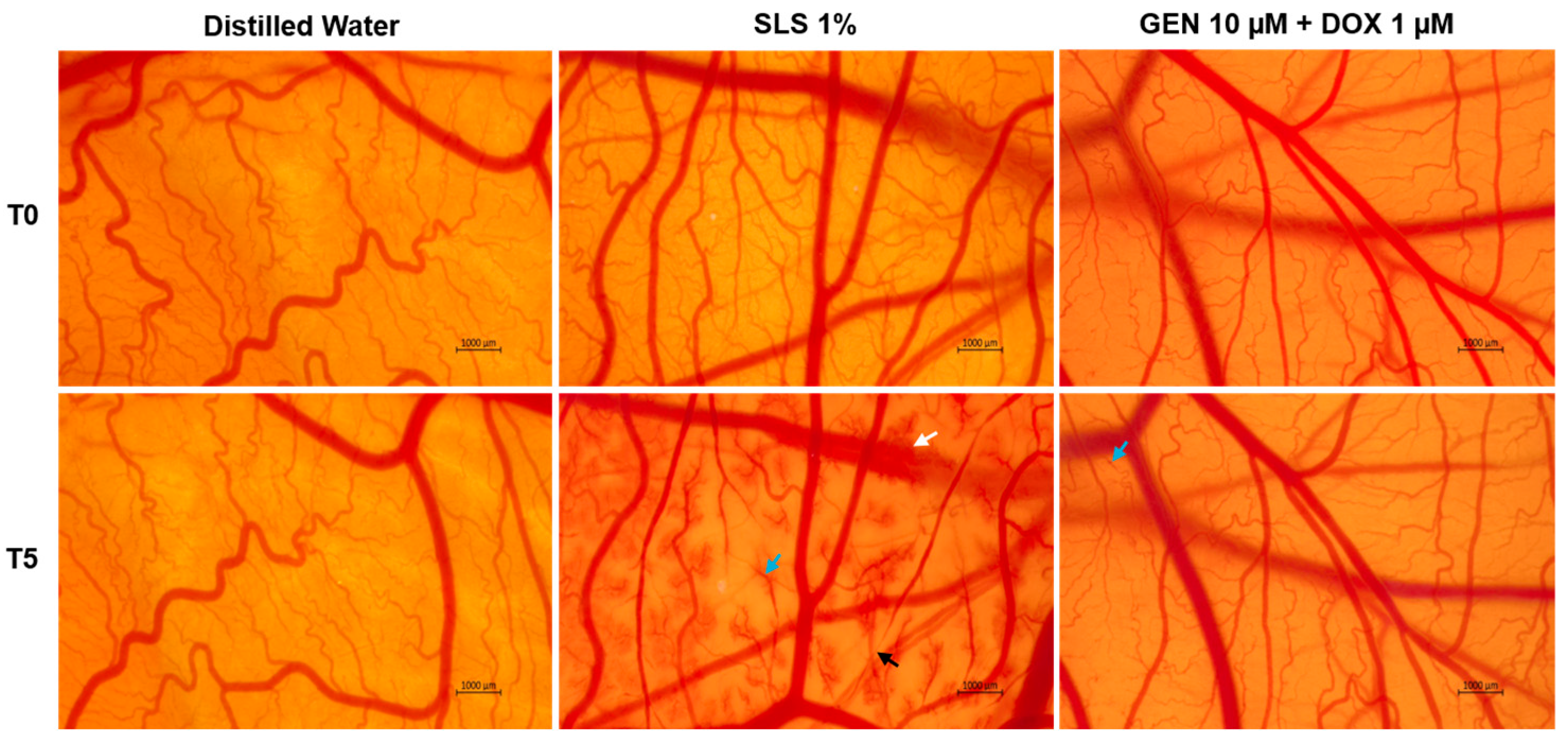 Medicina 61 00798 g009