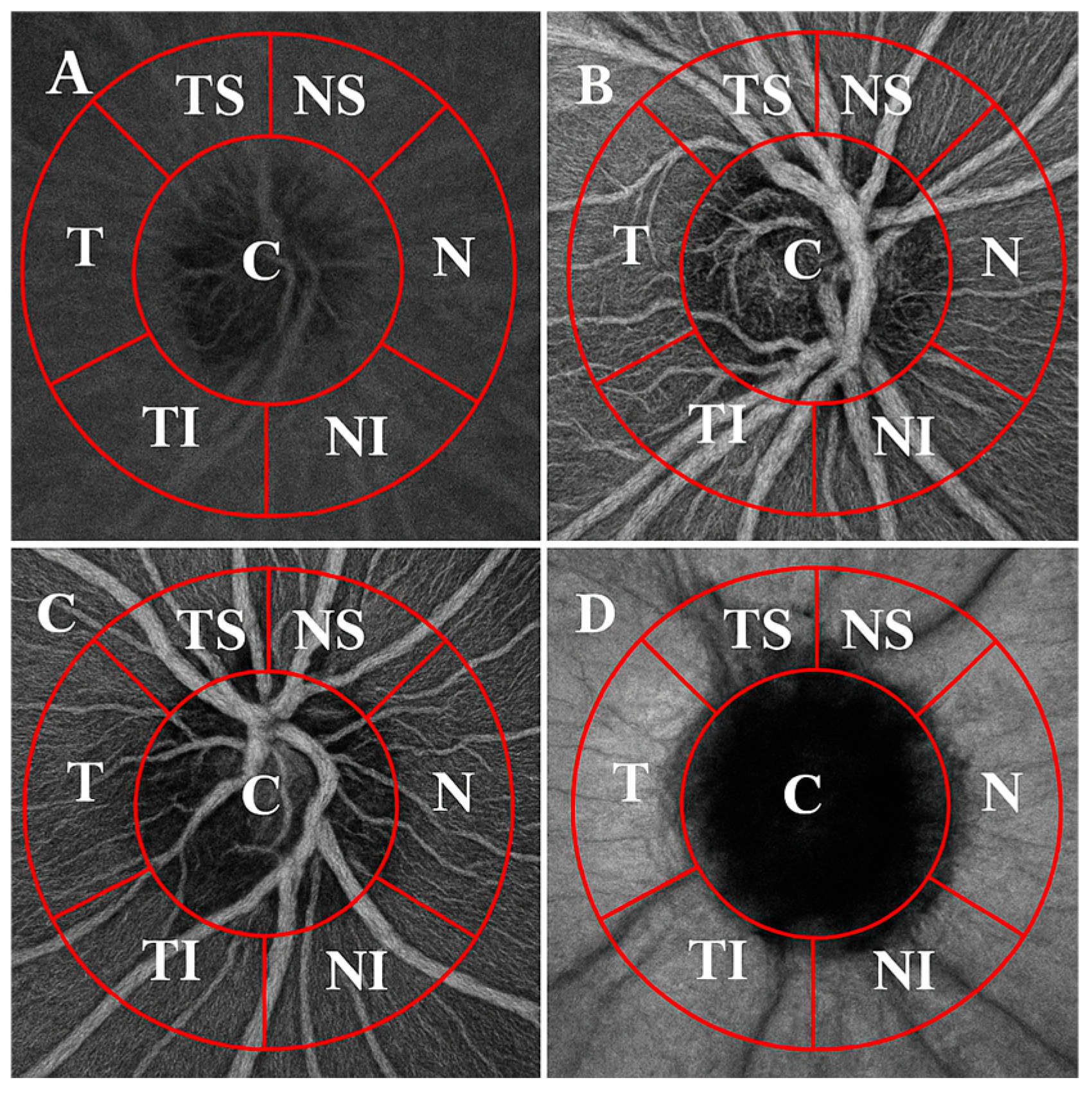 Medicina 61 00800 g001