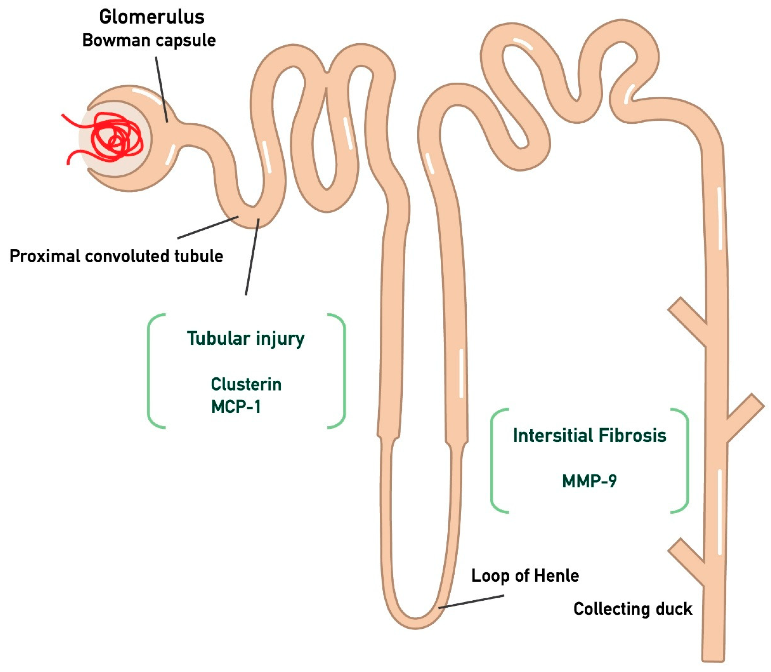 Medicina 61 00807 g001