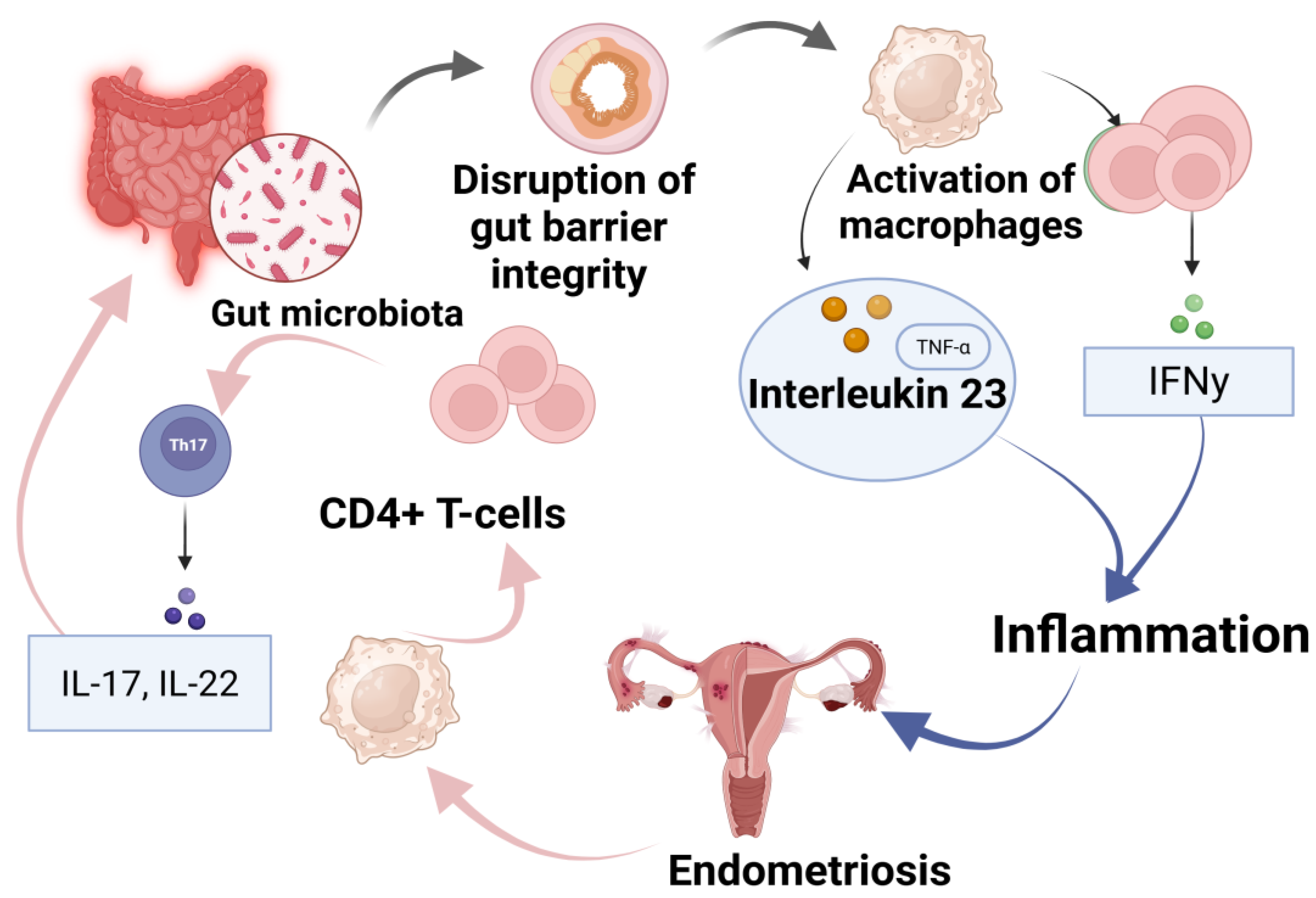 Medicina 61 00811 g002 Medicina 61 00811 g002