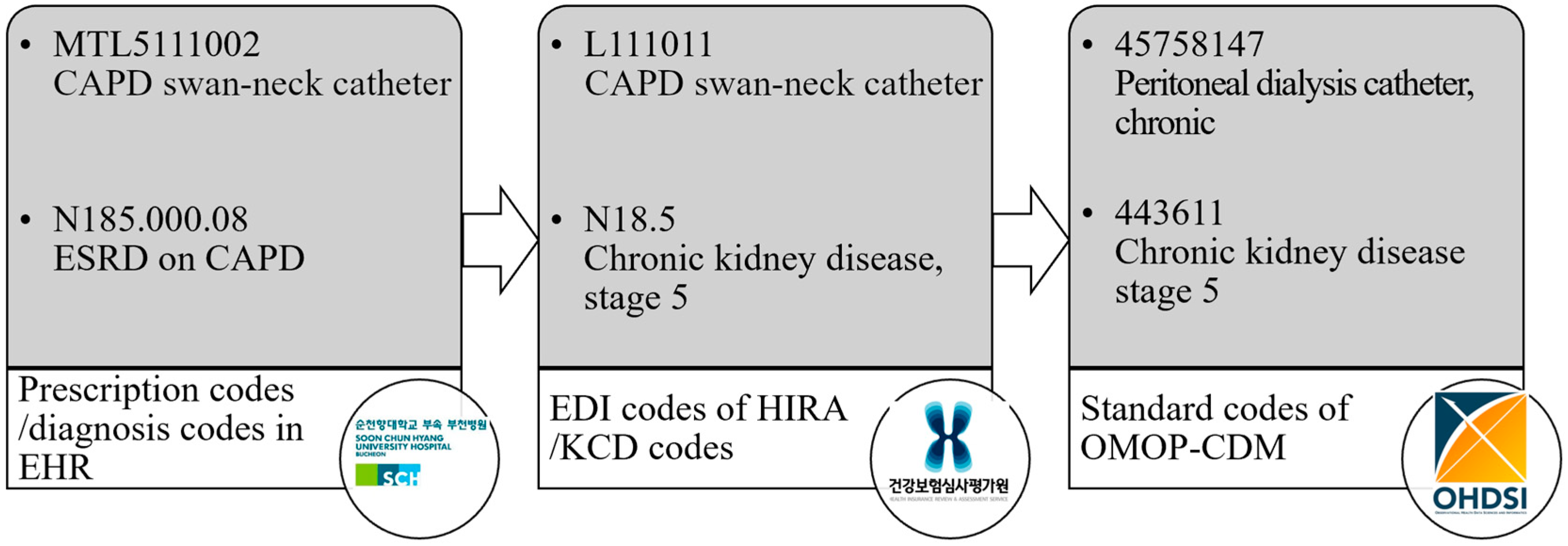 Medicina 61 00814 g001
