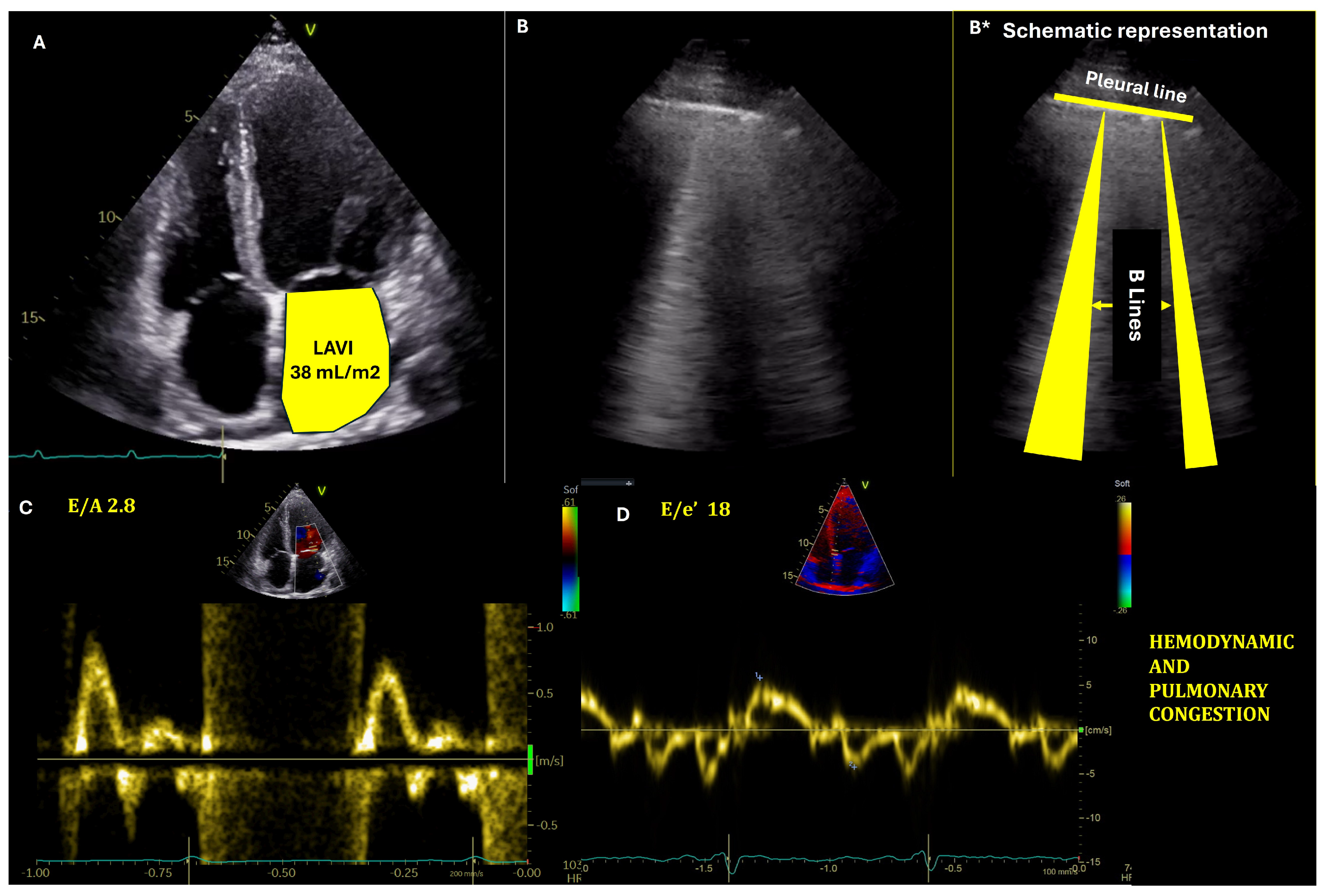 Medicina 61 00816 g001 Medicina 61 00816 g001