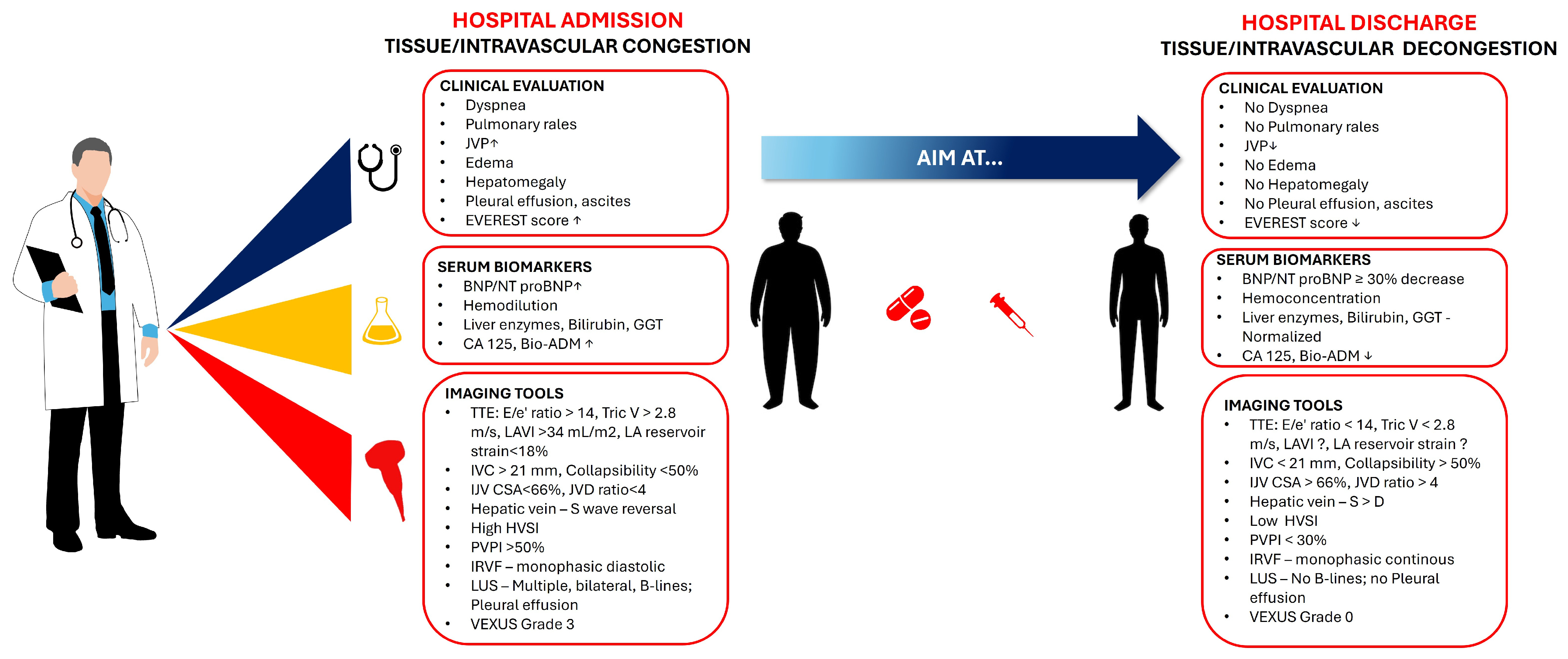 Medicina 61 00816 g004 Medicina 61 00816 g004