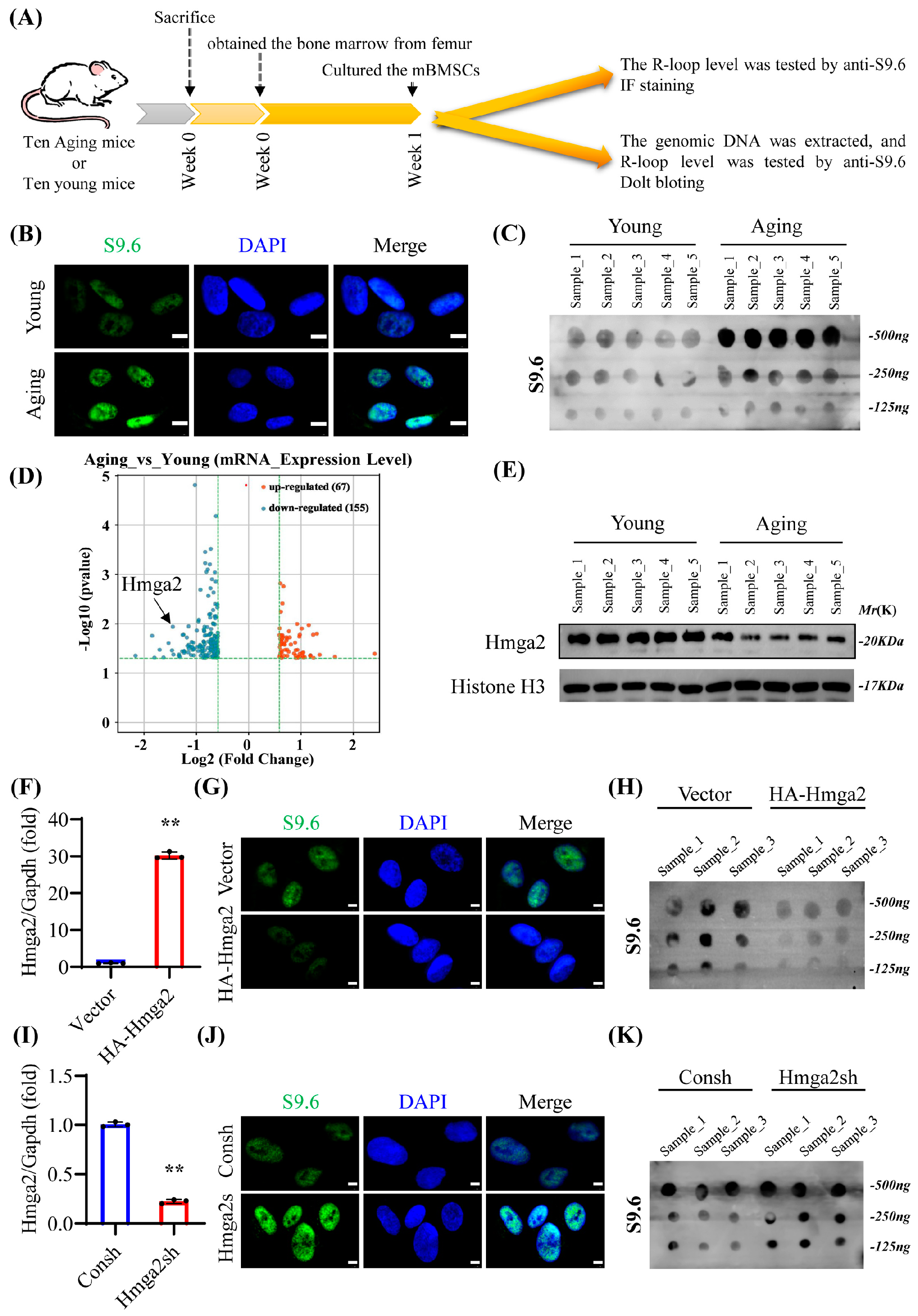 Medicina 61 00820 g001