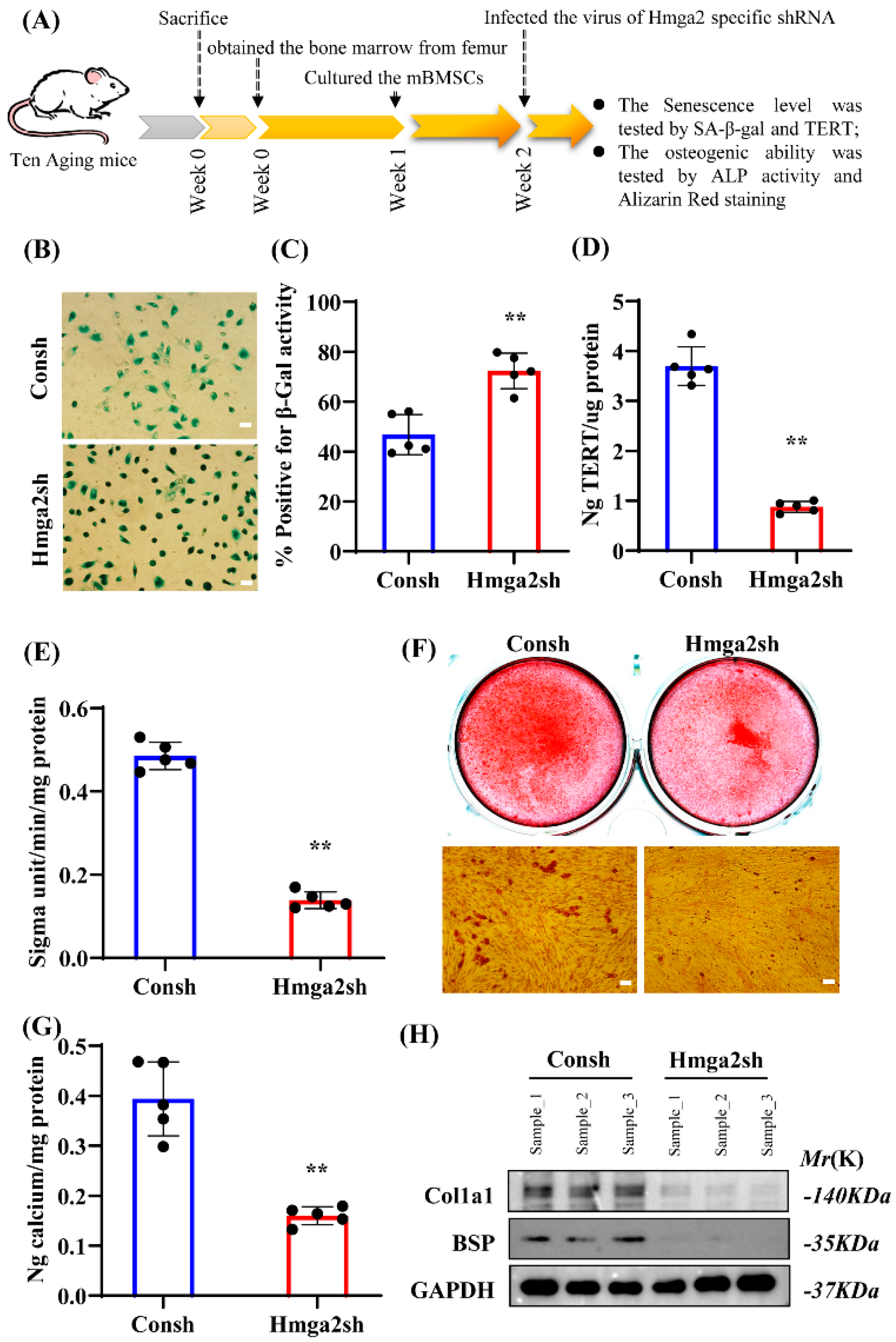 Medicina 61 00820 g002