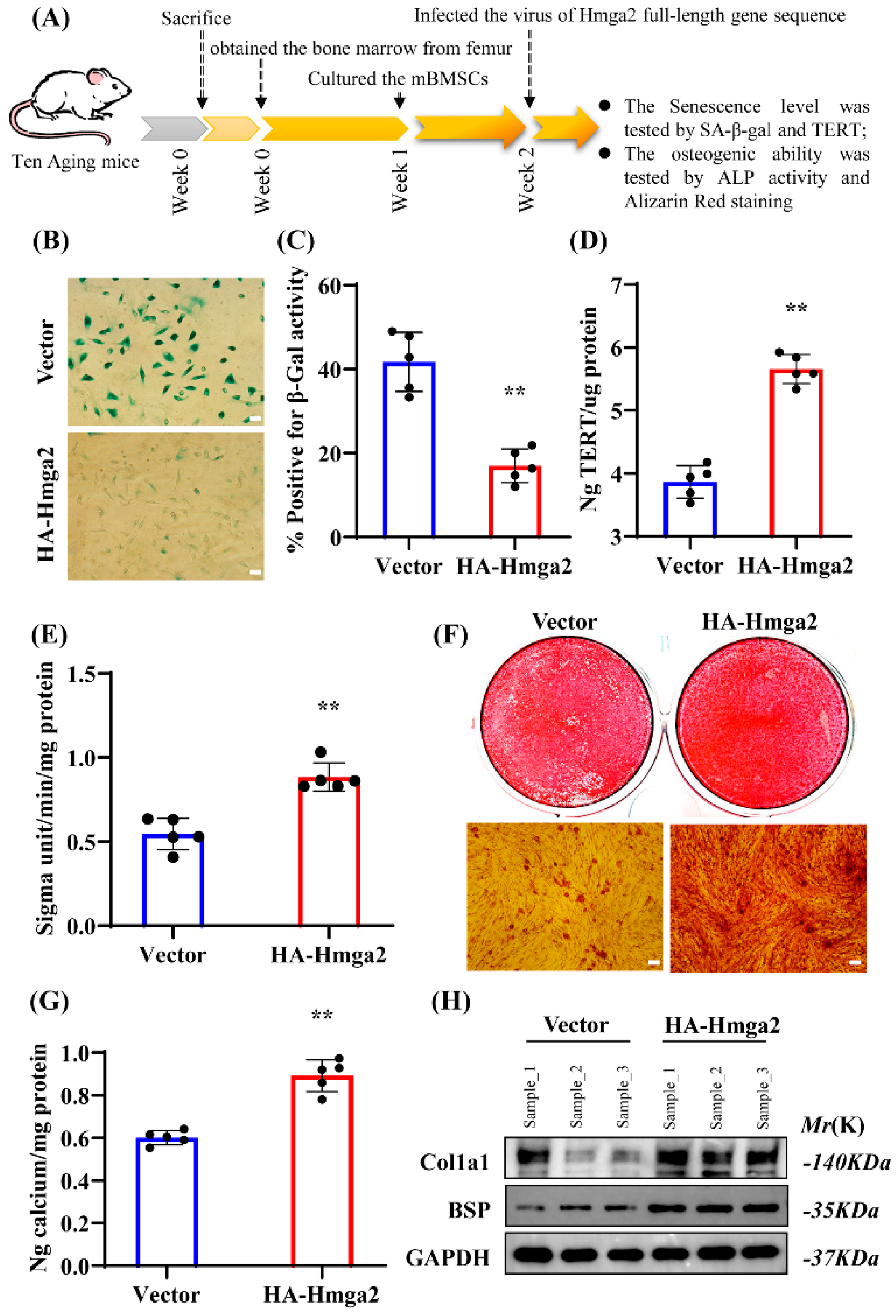 Medicina 61 00820 g003