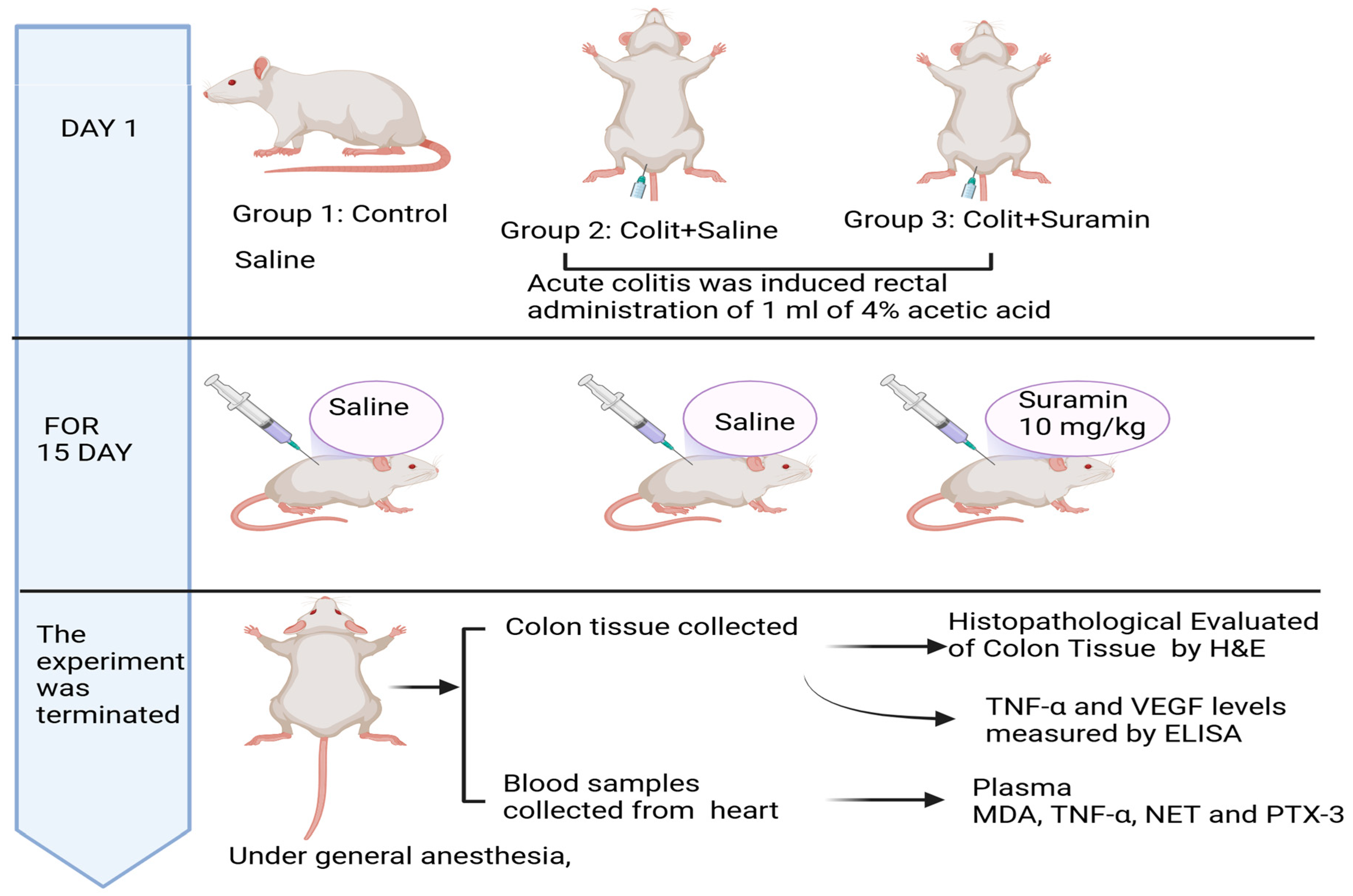 Medicina 61 00829 g001