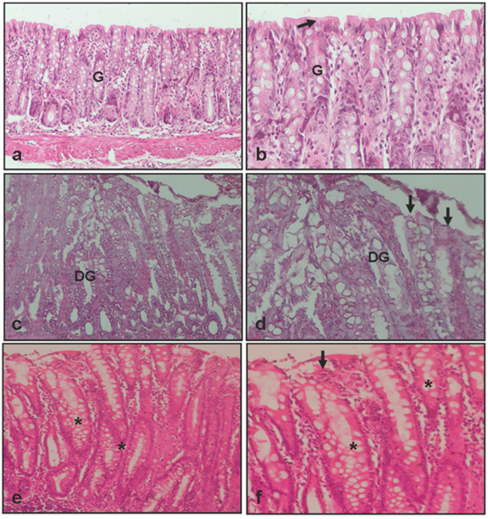 Medicina 61 00829 g003
