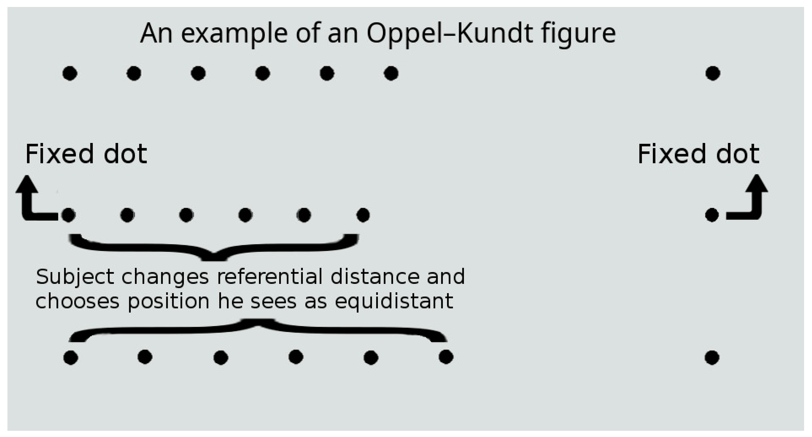 Medicina 61 00835 g001