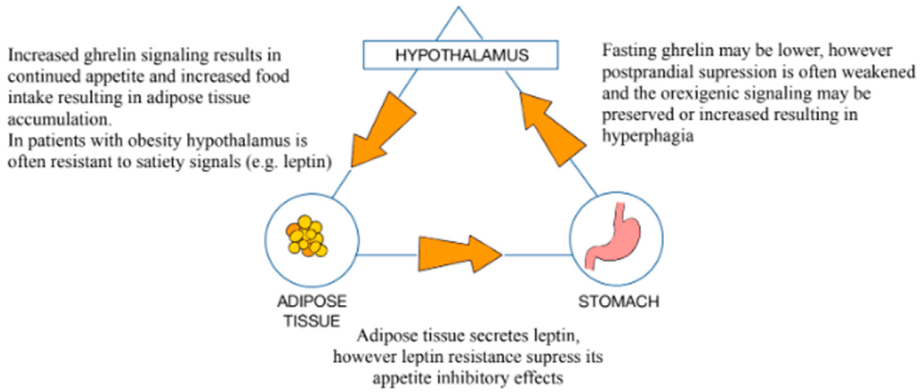 Medicina 61 00849 g002