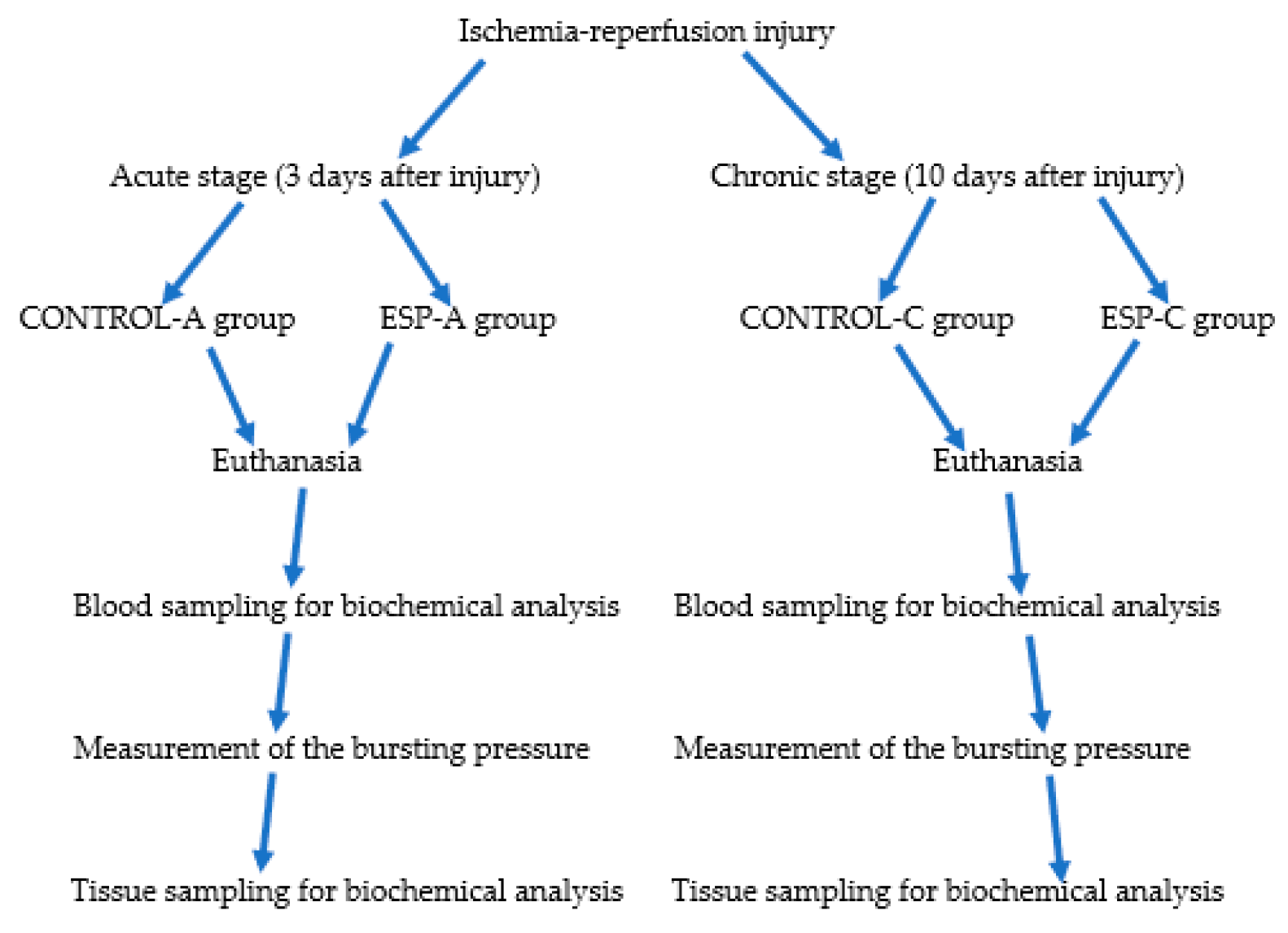 Medicina 61 00851 g001