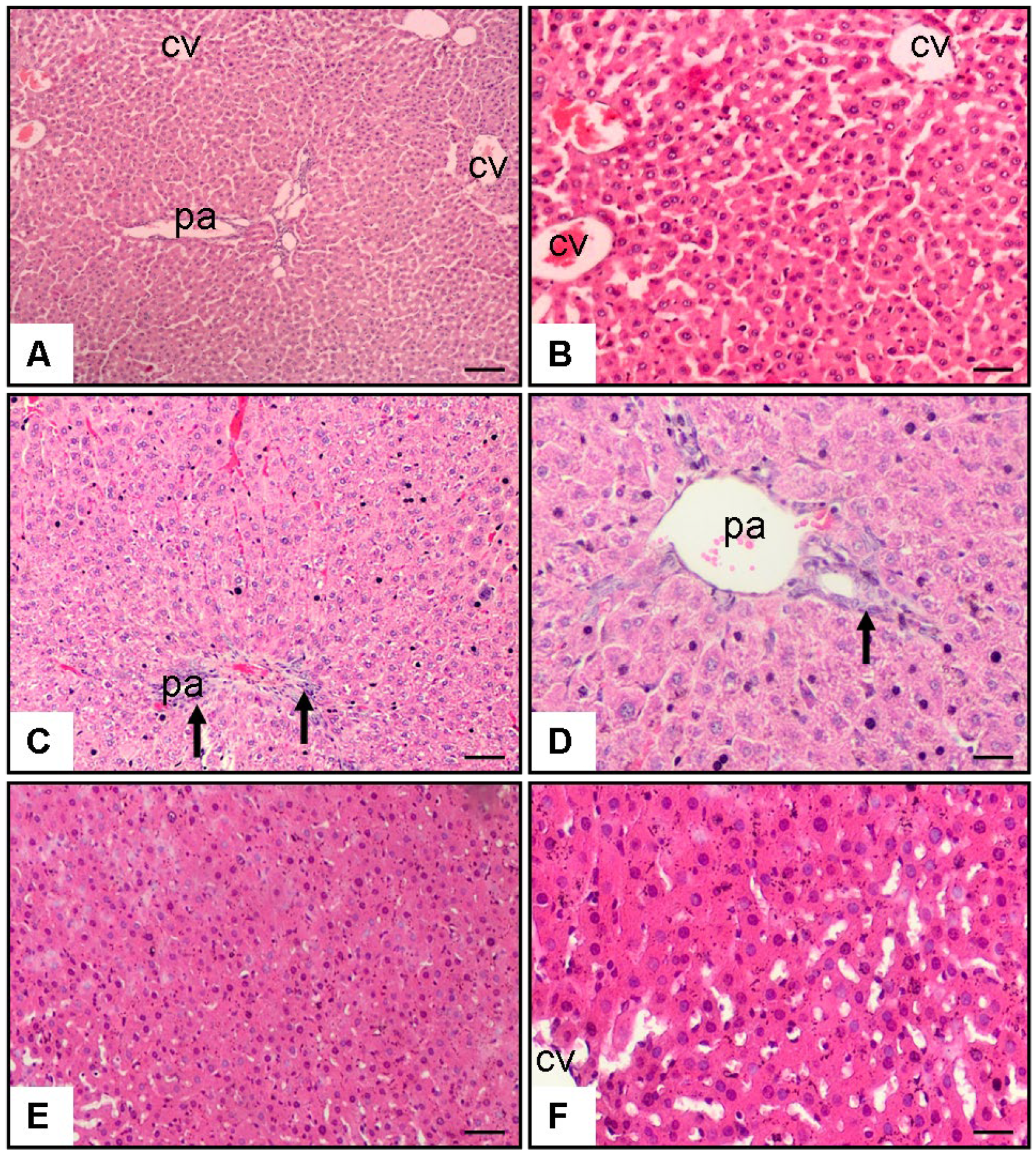 Medicina 61 00857 g001