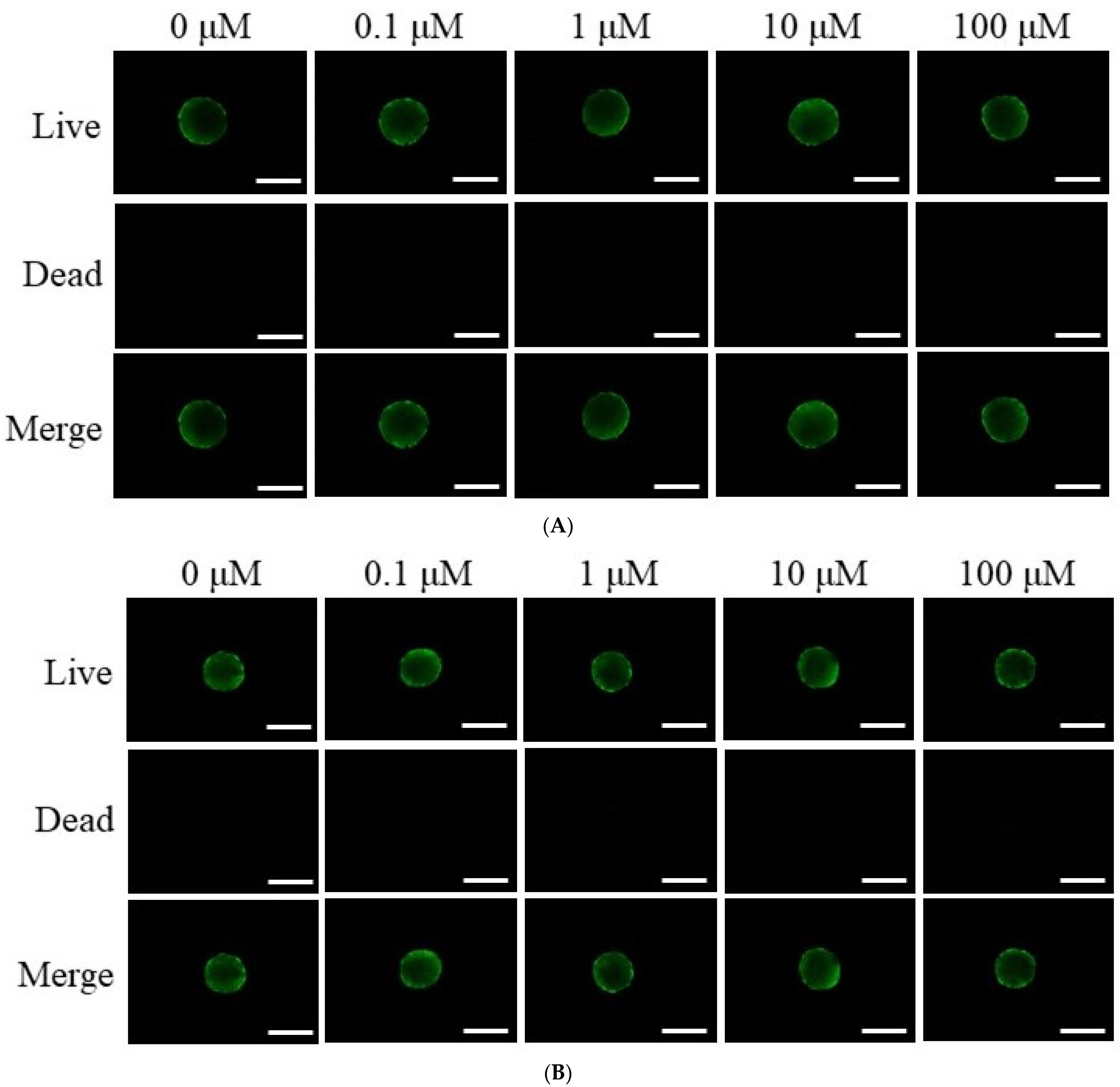 Medicina 61 00871 g002a