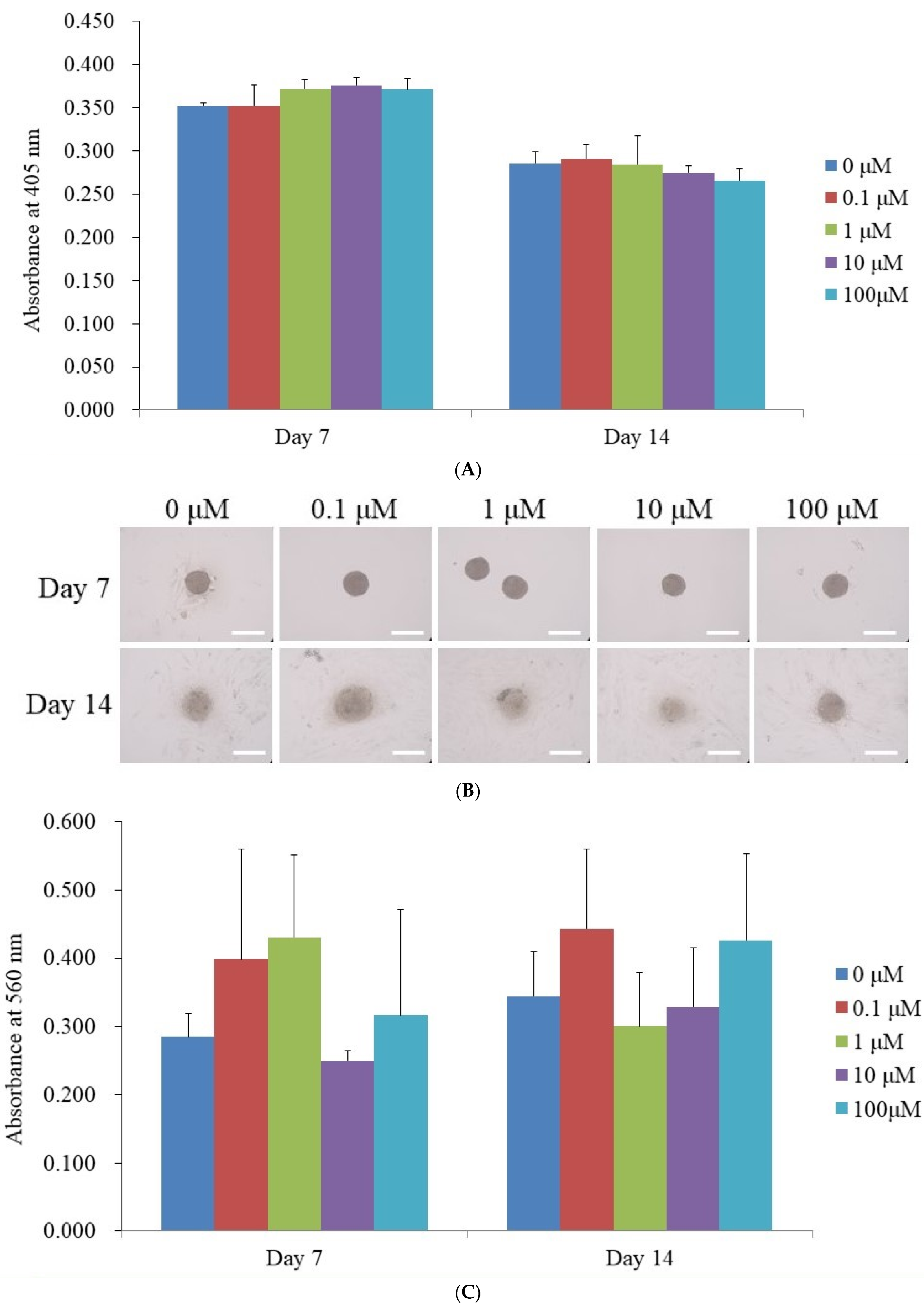 Medicina 61 00871 g003