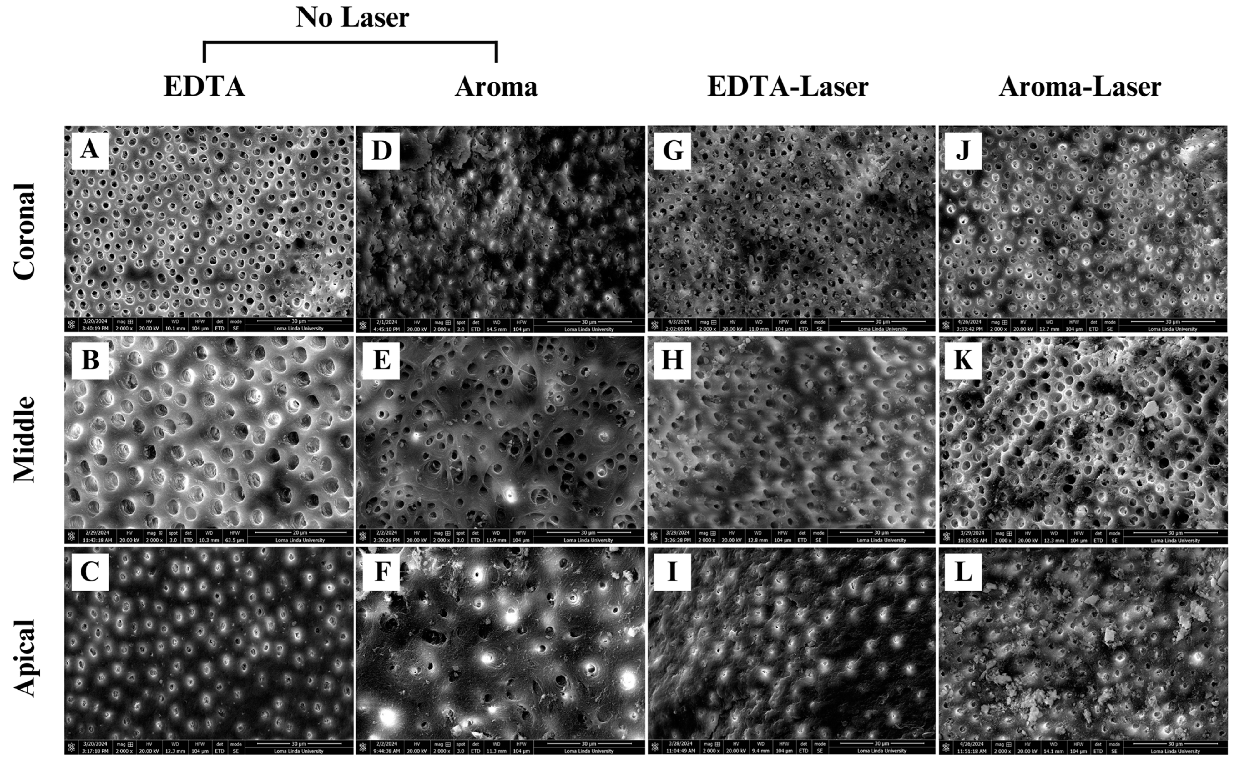 Medicina 61 00874 g003