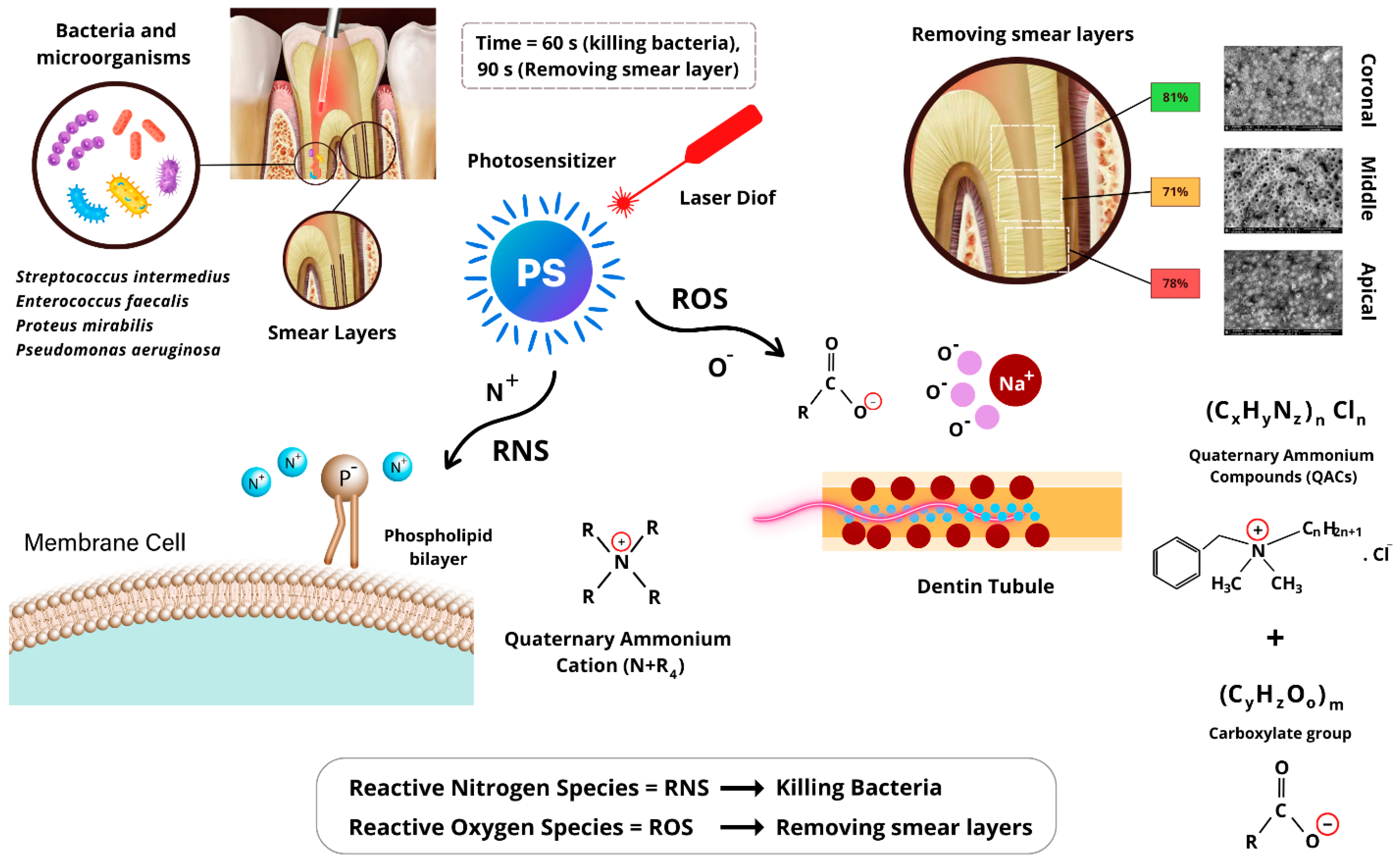 Medicina 61 00874 g004