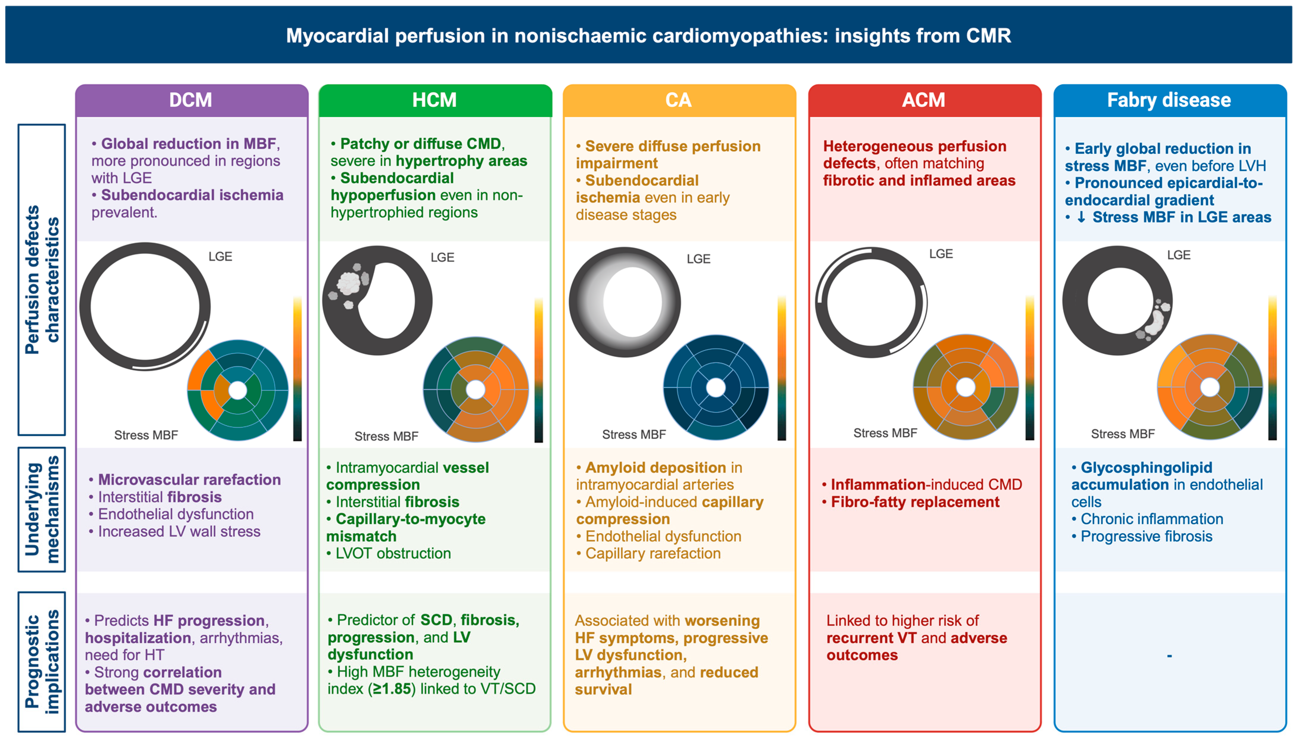 Medicina 61 00875 g001 Medicina 61 00875 g001