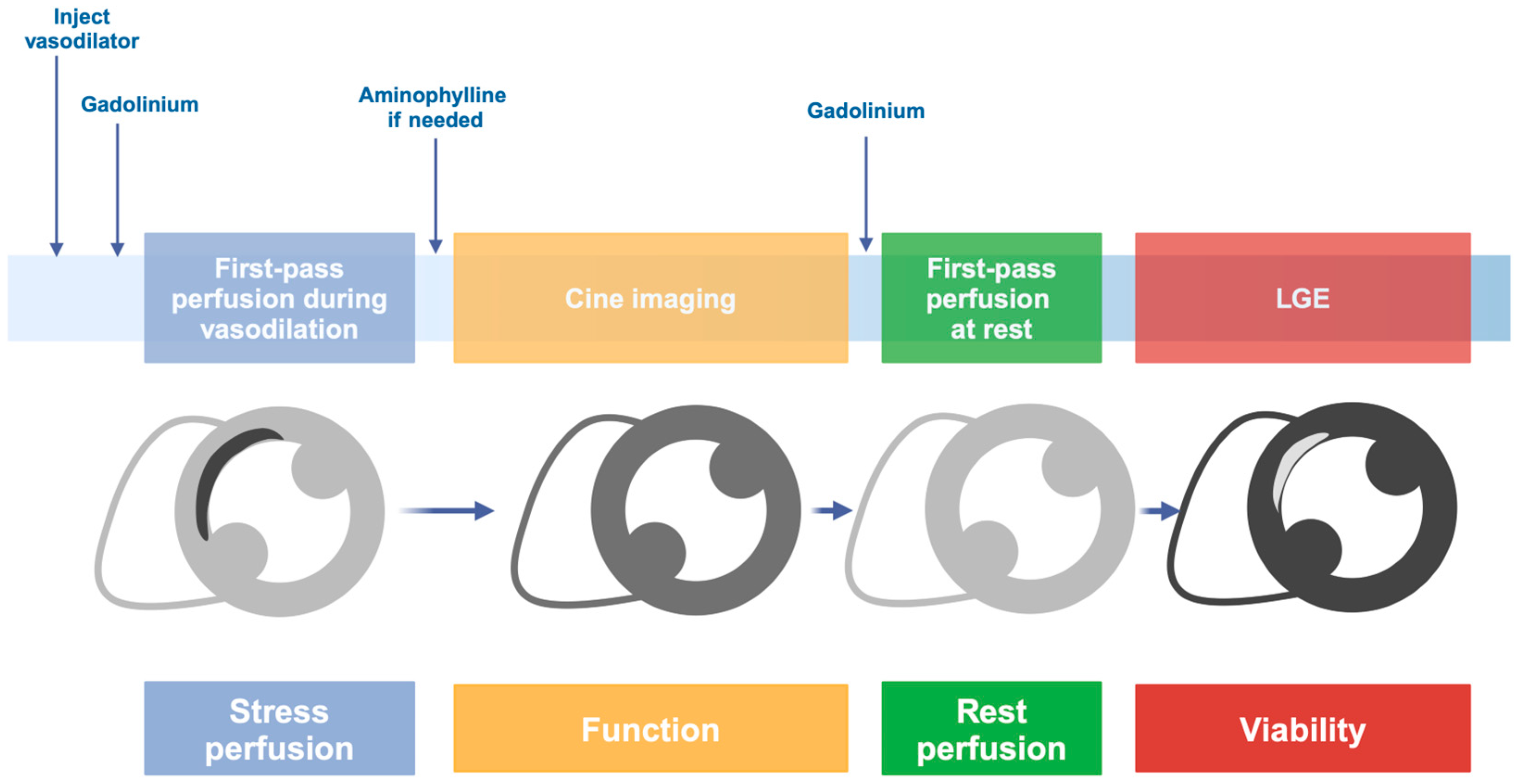 Medicina 61 00875 g002 Medicina 61 00875 g002