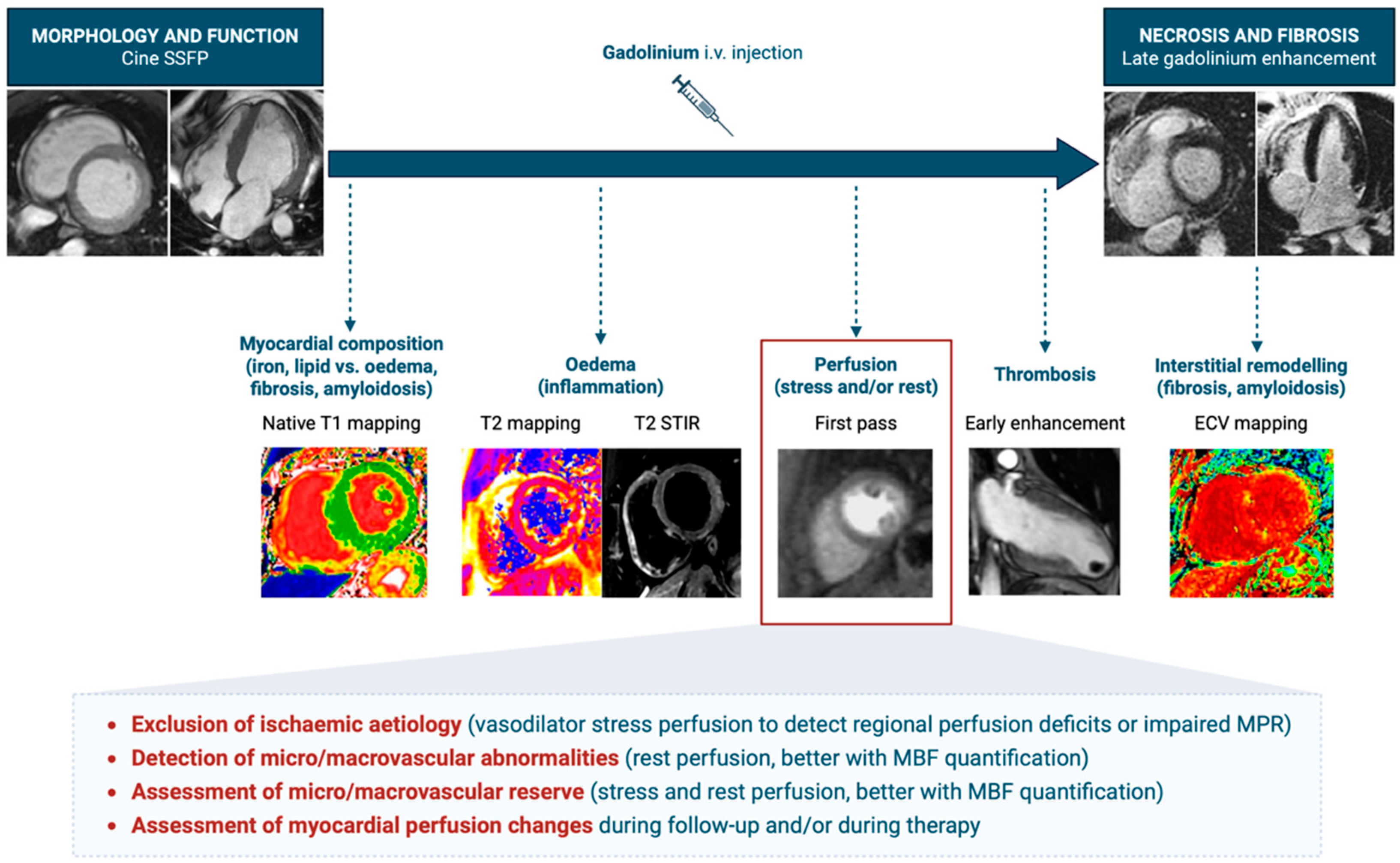 Medicina 61 00875 g003 Medicina 61 00875 g003