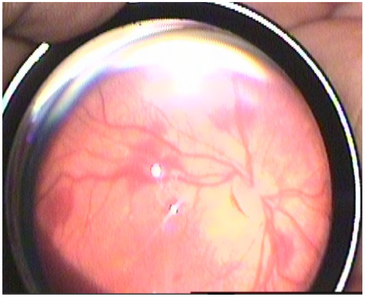 Medicina 61 00906 g001