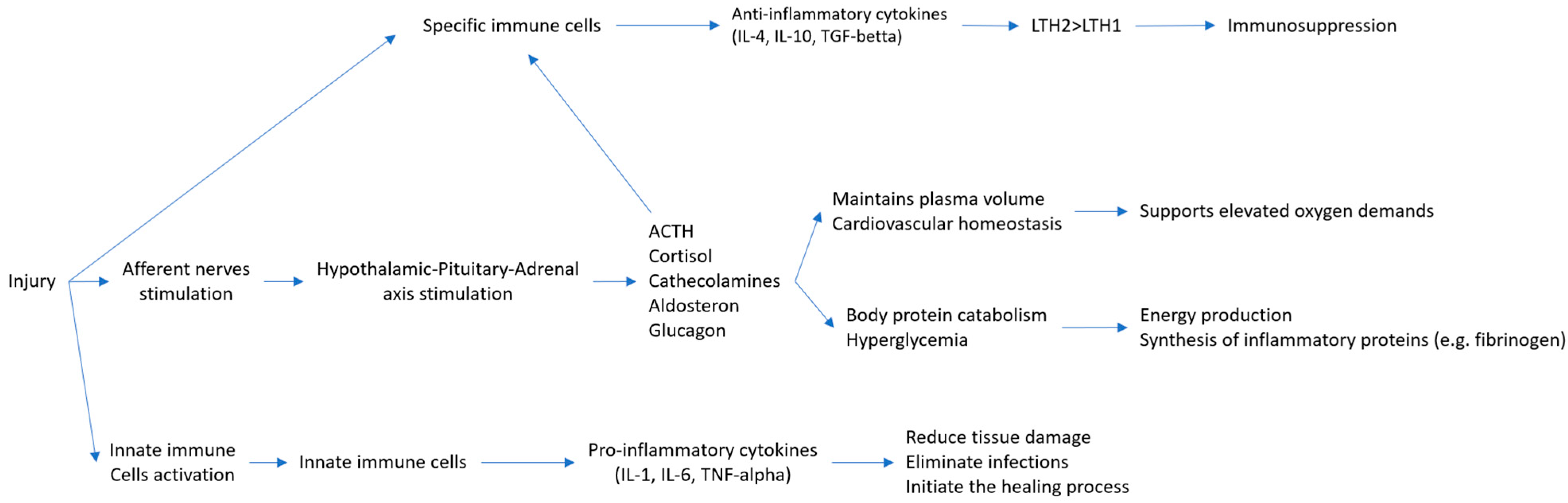 Medicina 61 00908 g001