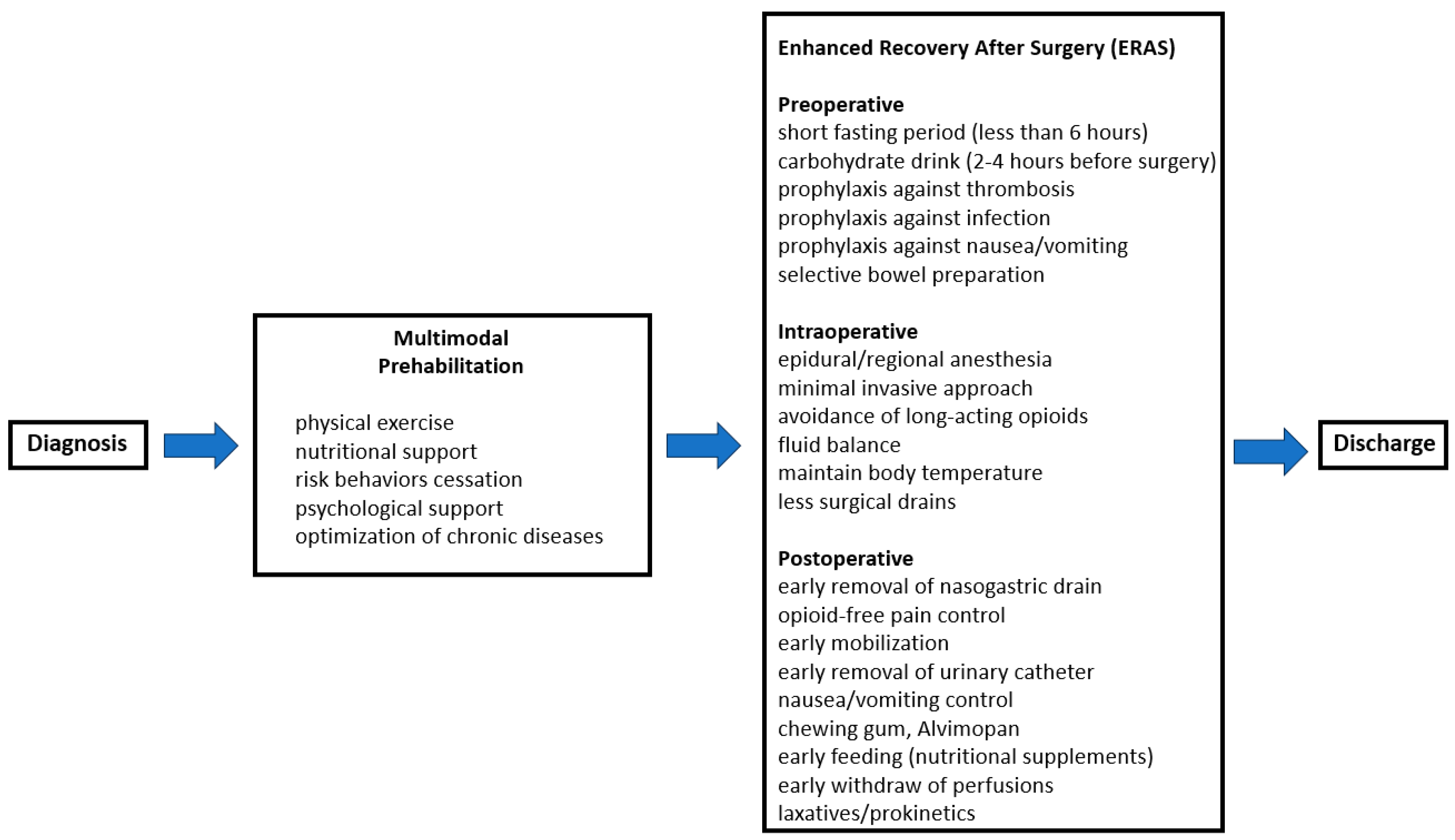 Medicina 61 00908 g002