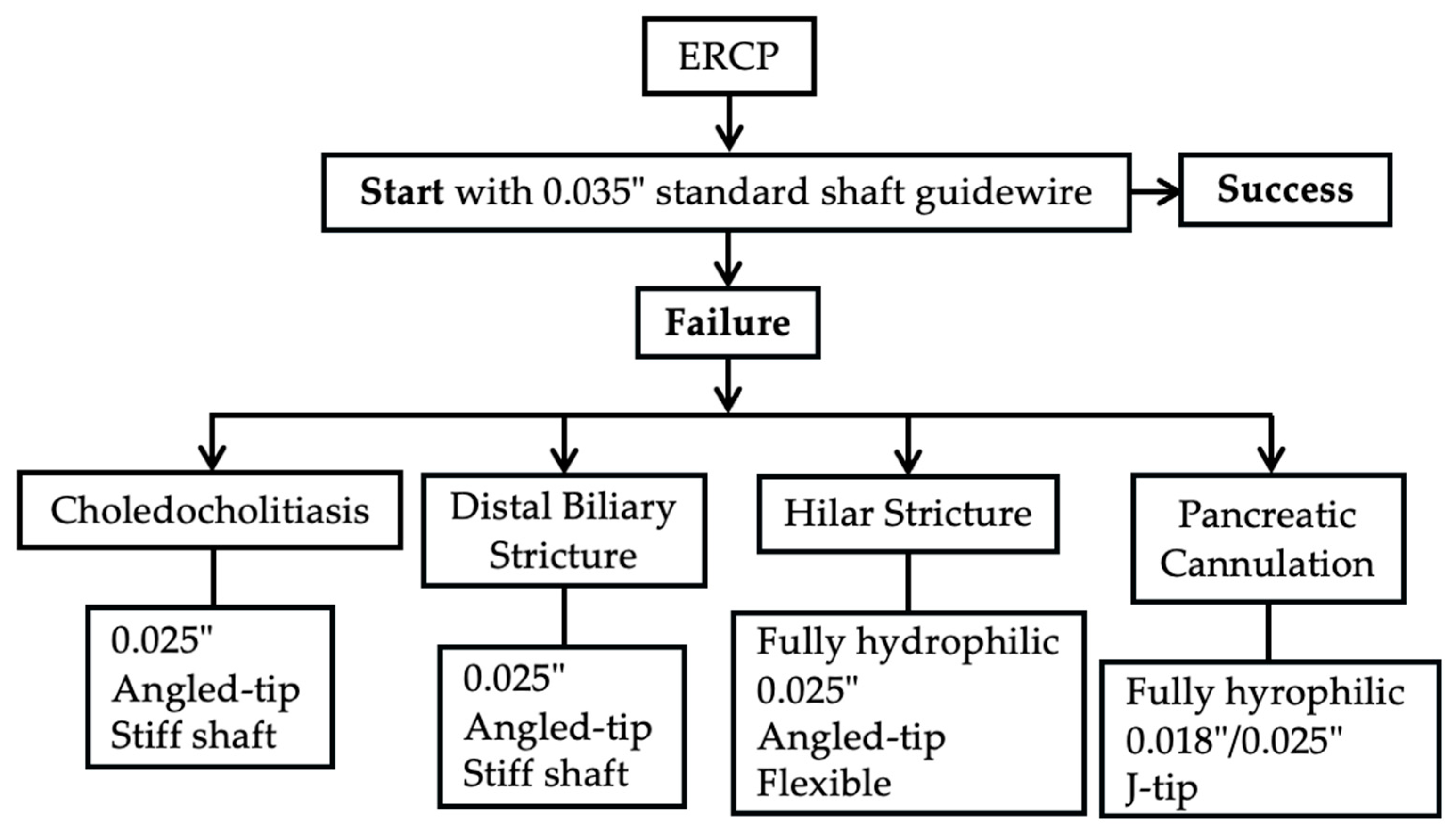 Medicina 61 00913 g003