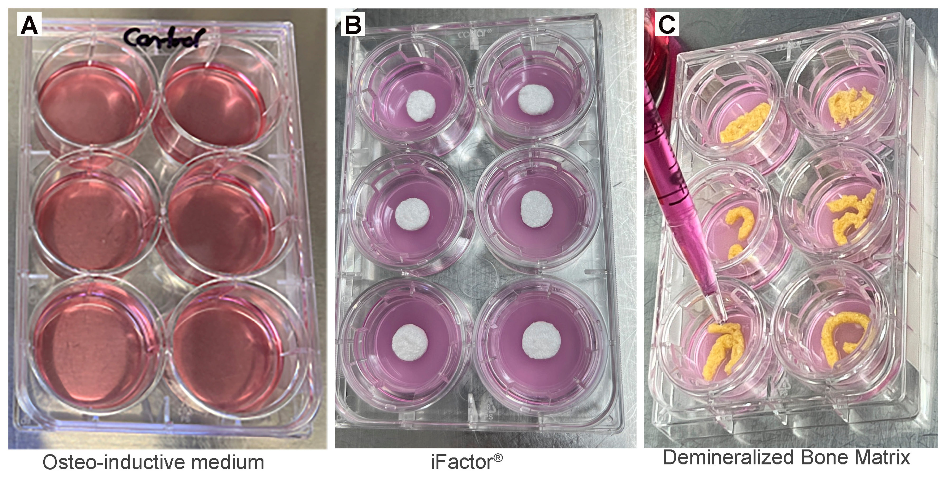 Medicina 61 00914 g001